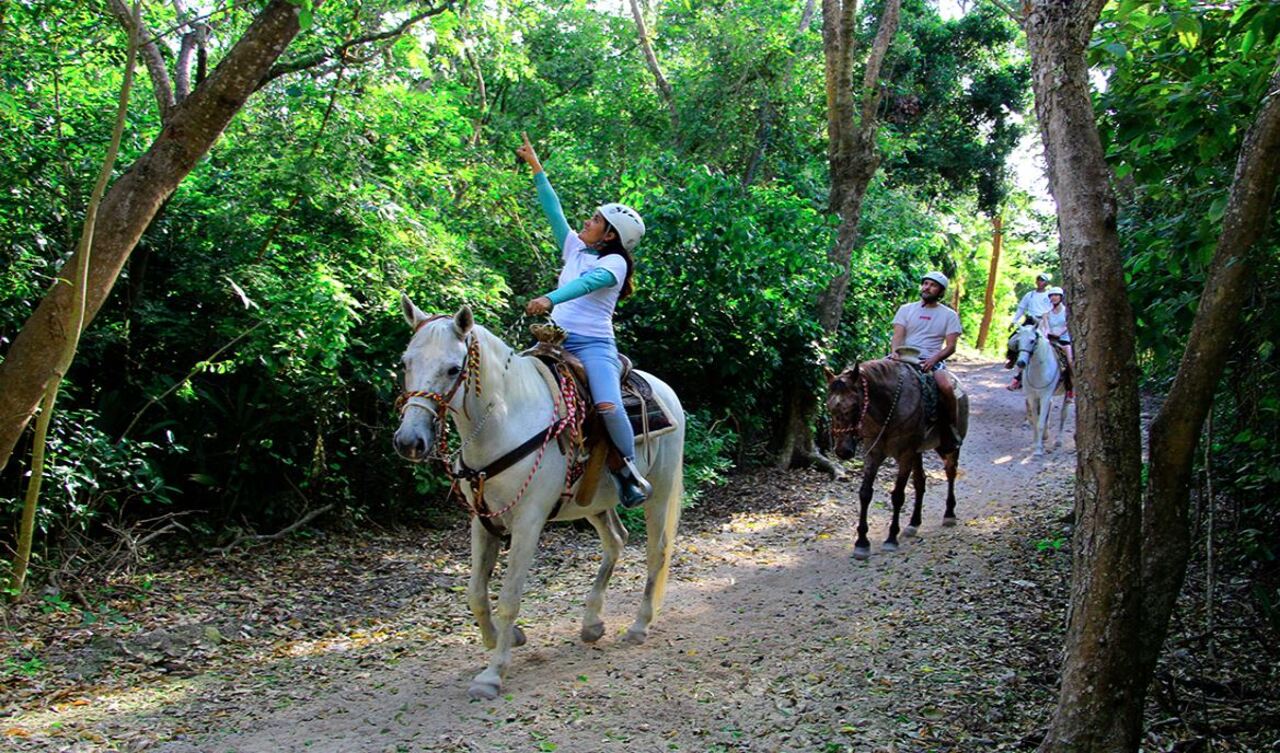 Riviera Maya: Horseback Riding at Rancho Bonanza – Playa del Carmen, Mexico