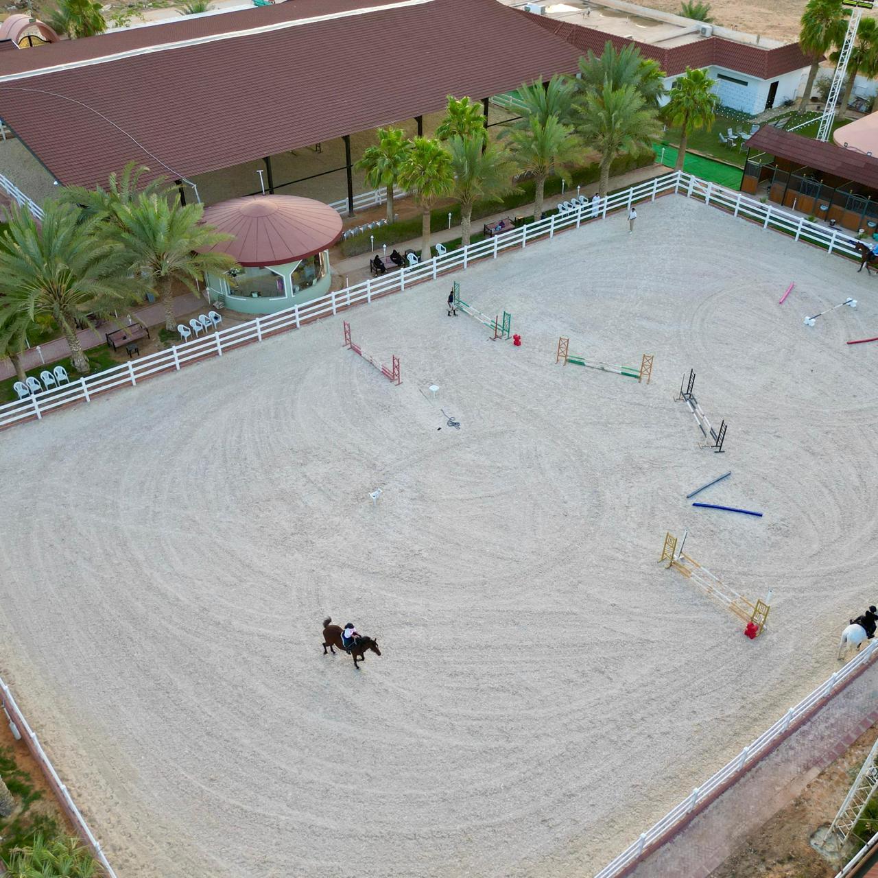 Riyadh: Arabian Horse Riding Experience – Saudi Arabia