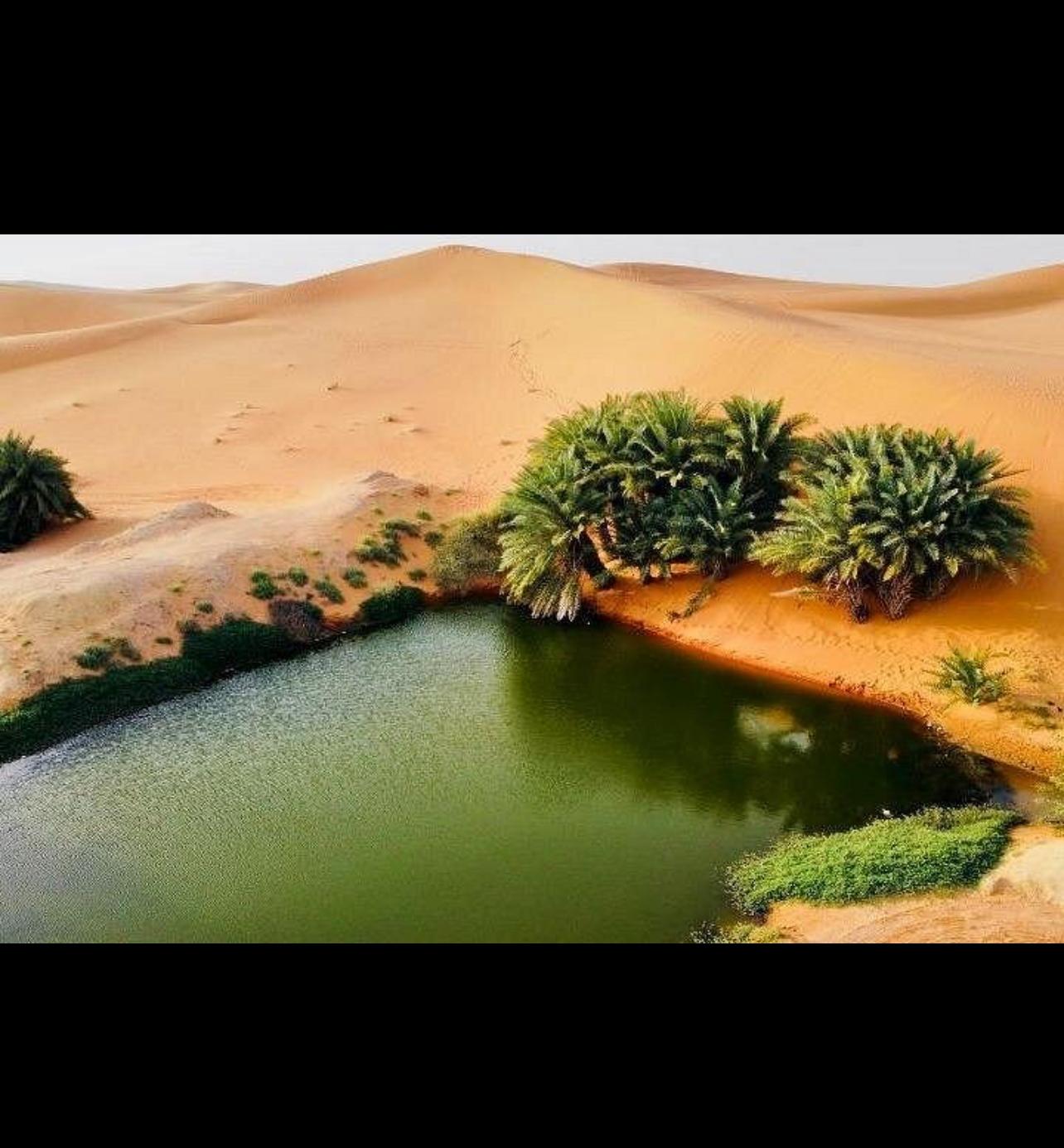 Riyadh: Buraydan Lake, Heritage Village & Salt Flats Tour – Saudi Arabia