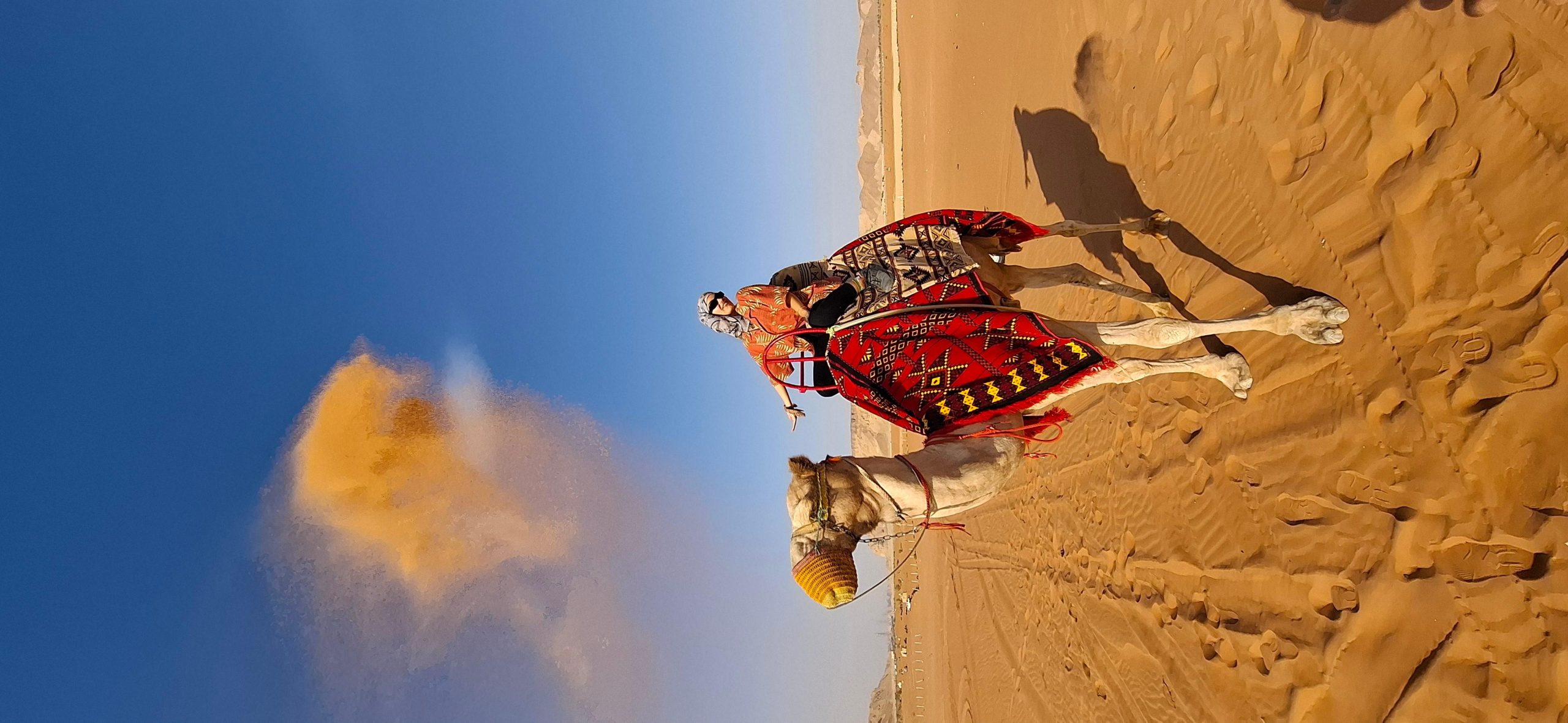 Riyadh: Desert Sand Dunes(Camel Ride+ Buggy + sunset Kashta) – Saudi Arabia