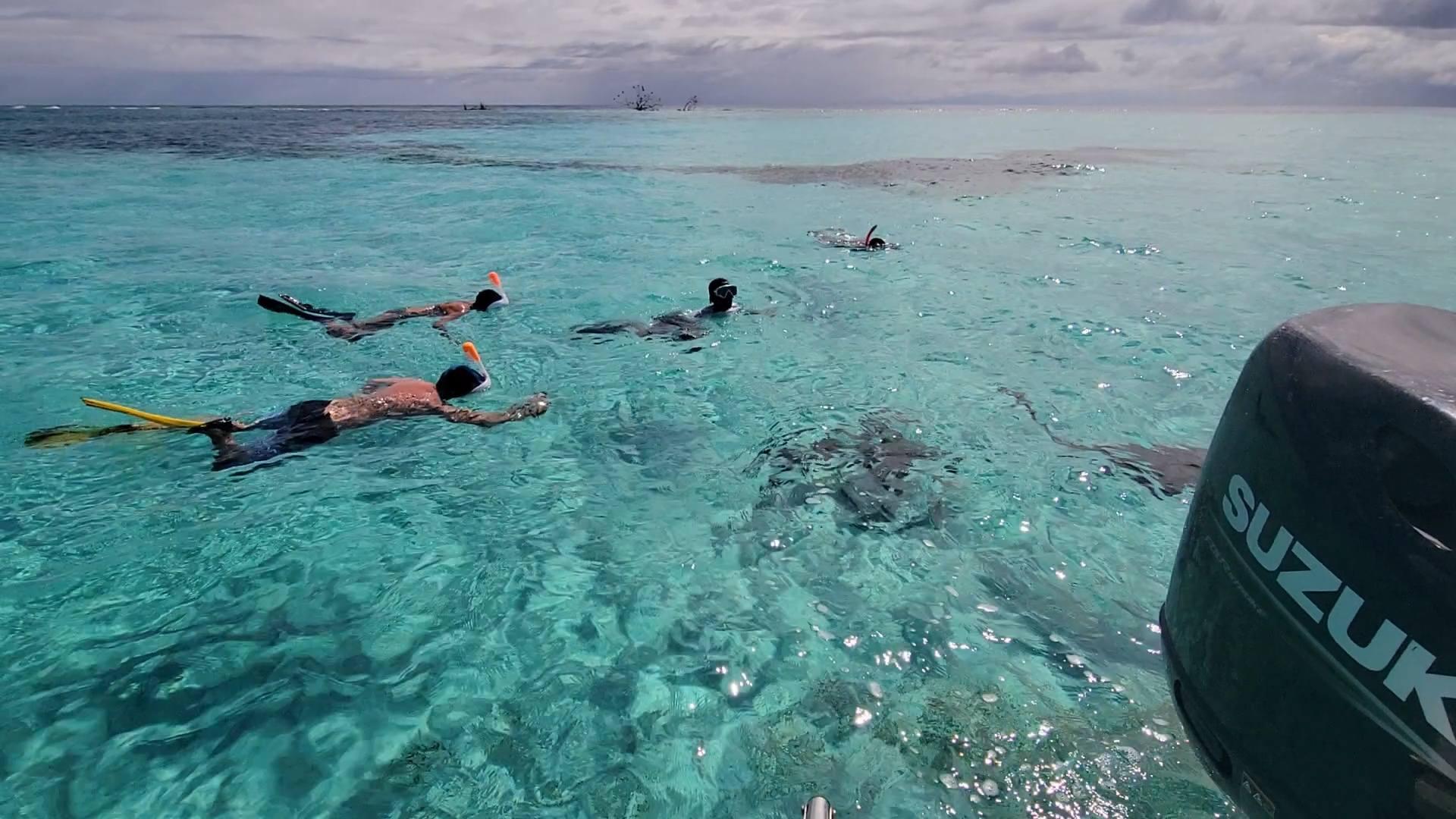 Roatan: East End Snorkeling Trip – Honduras