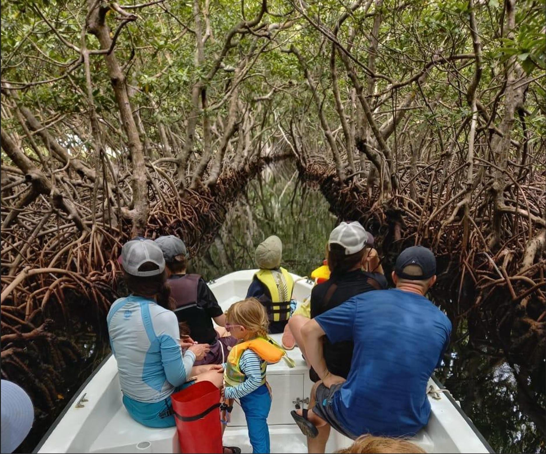 Roatan: East Side Mangrove Boat Tour with Snorkeling – Honduras