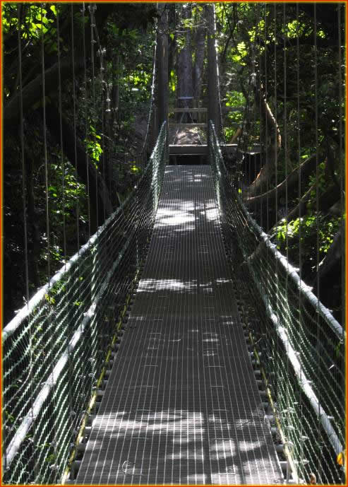 Roatan Island: Half-Day Eco-Walk, Zip-line & Beach Tour – Honduras