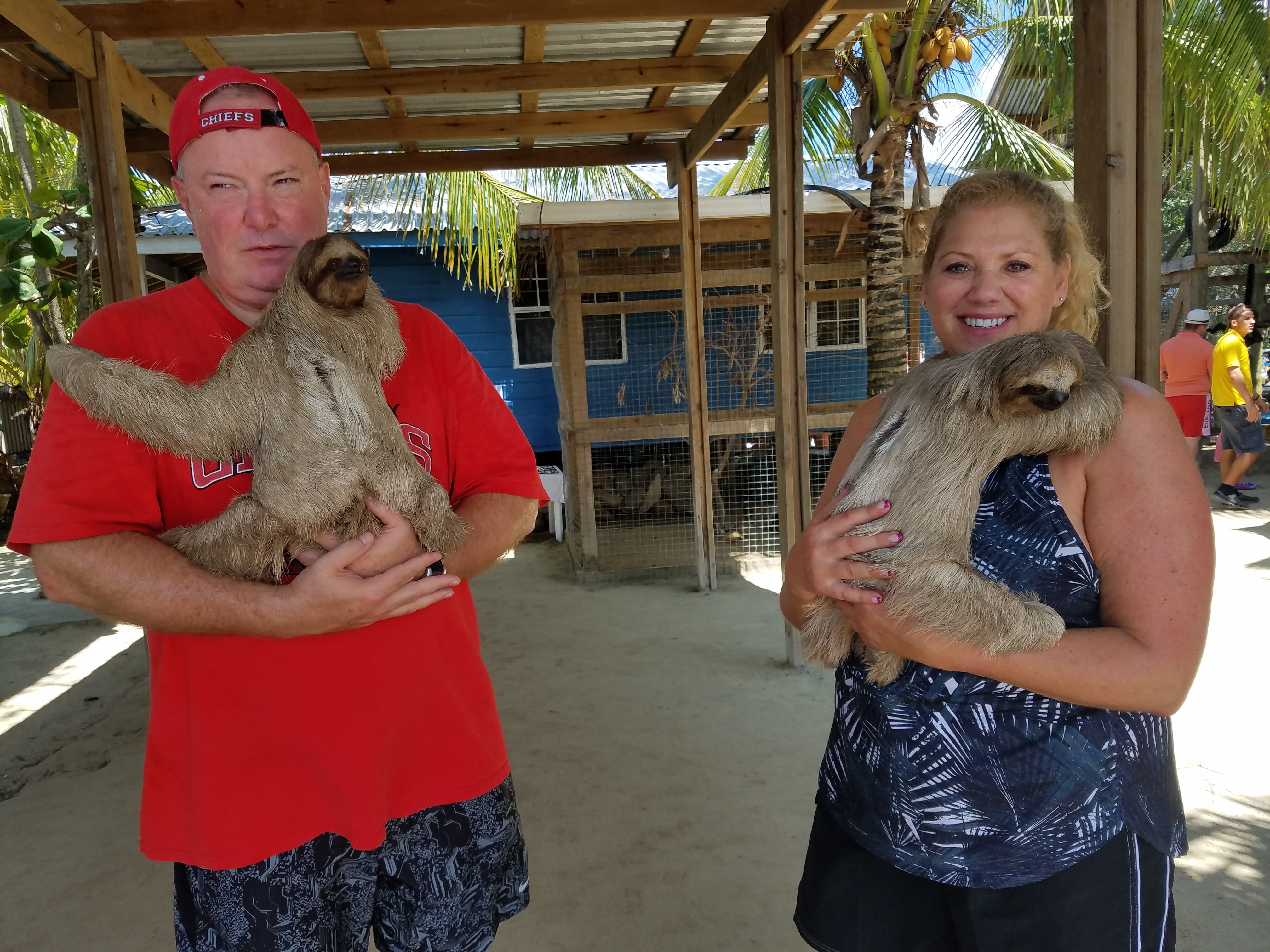 Roatán Island: Monkey, Sloths, and Sightseeing Tour – Honduras