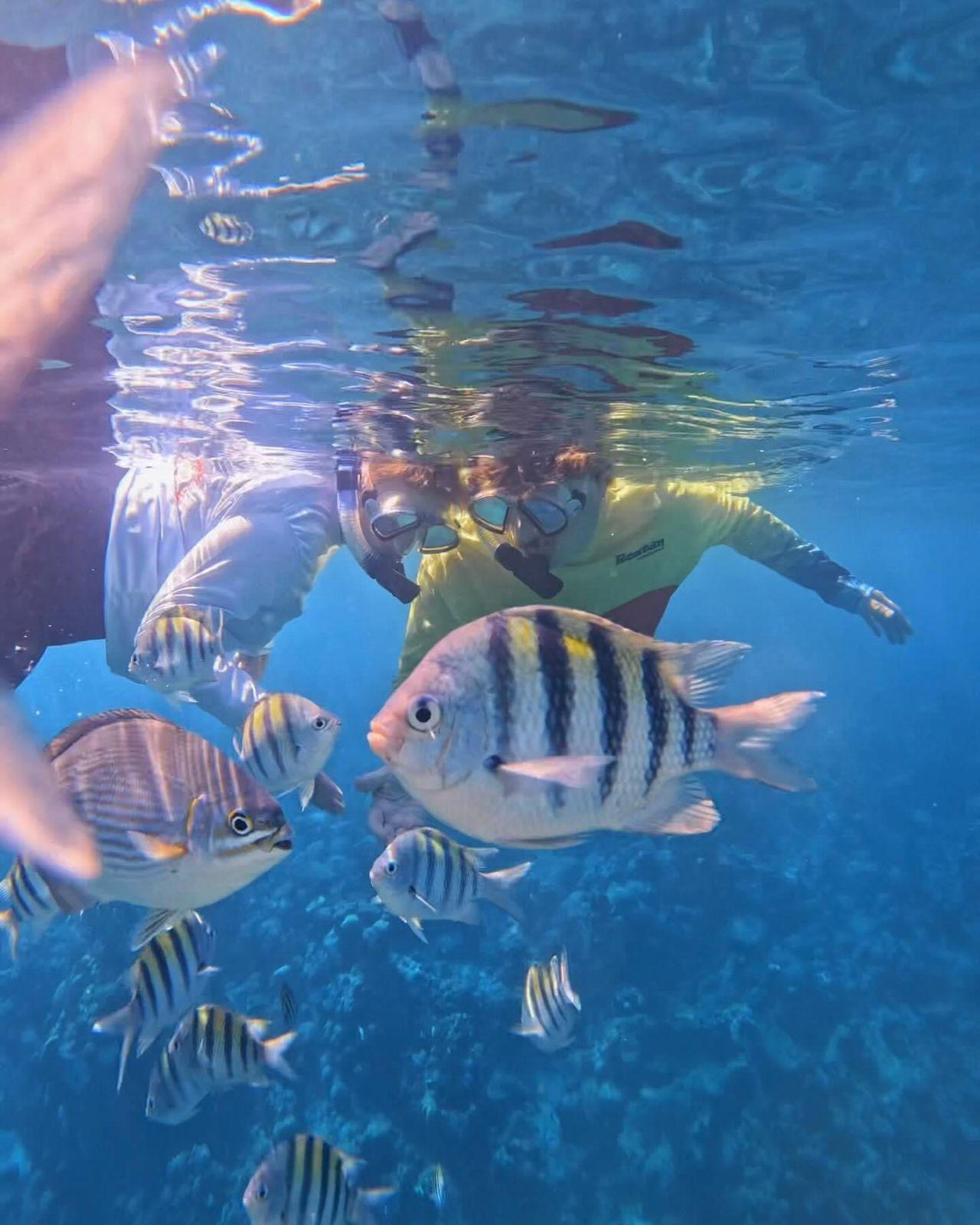 Roatan: Mayan Reef Snorkeling and West End Beach Tour – Honduras