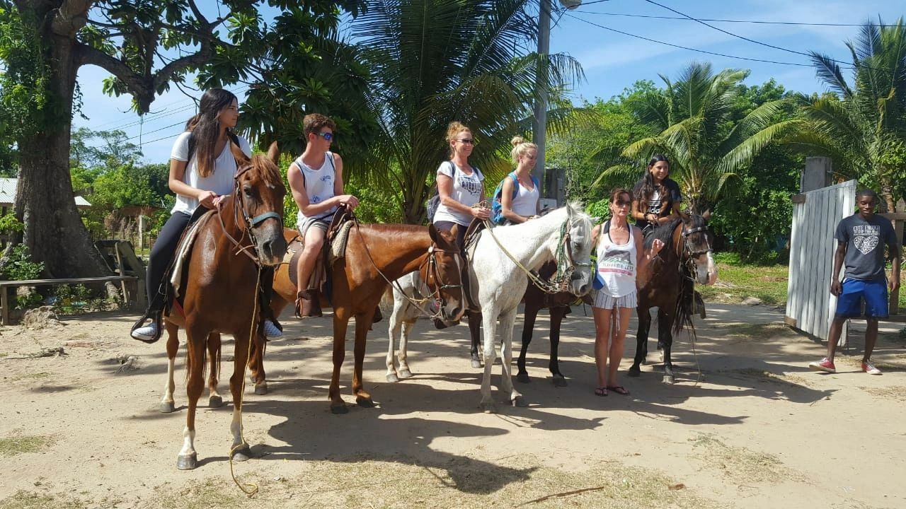 Roatán: Private Horseback Riding Tour – Honduras