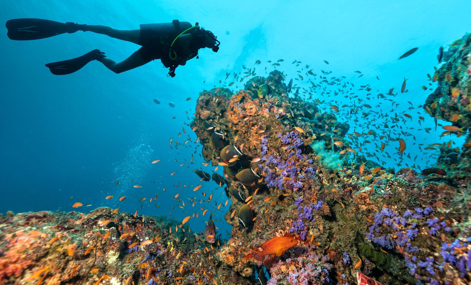 Roatán: Scuba Diving – Honduras