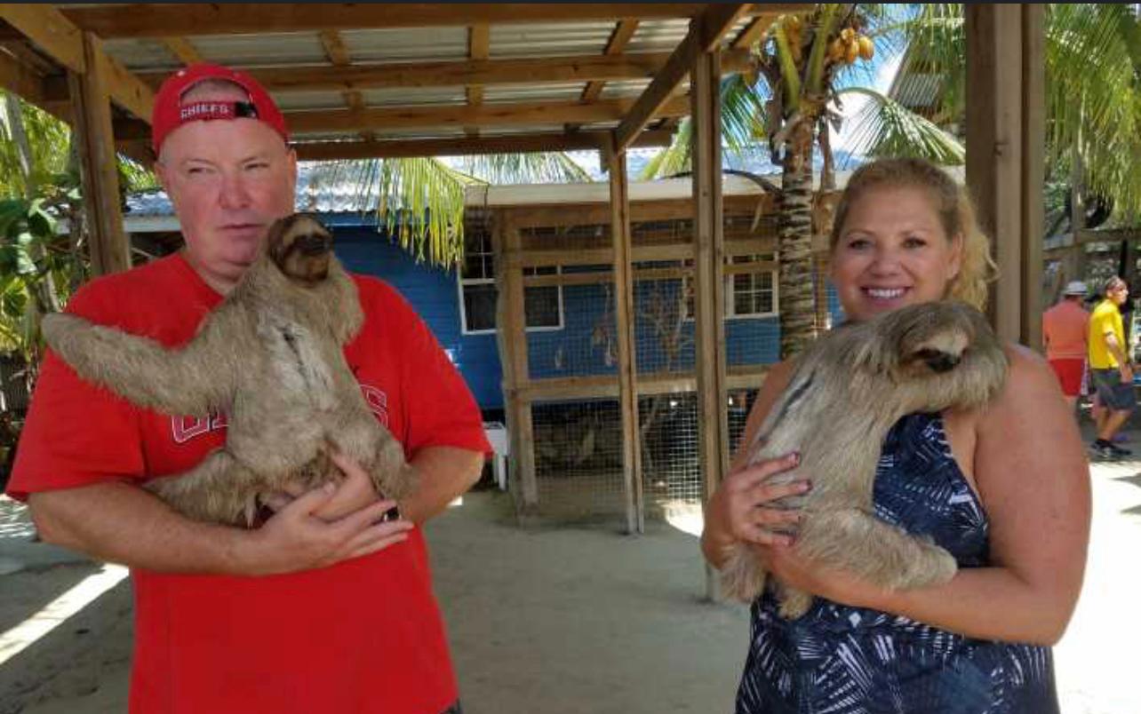 Roatan Sloths + Iguana – Honduras