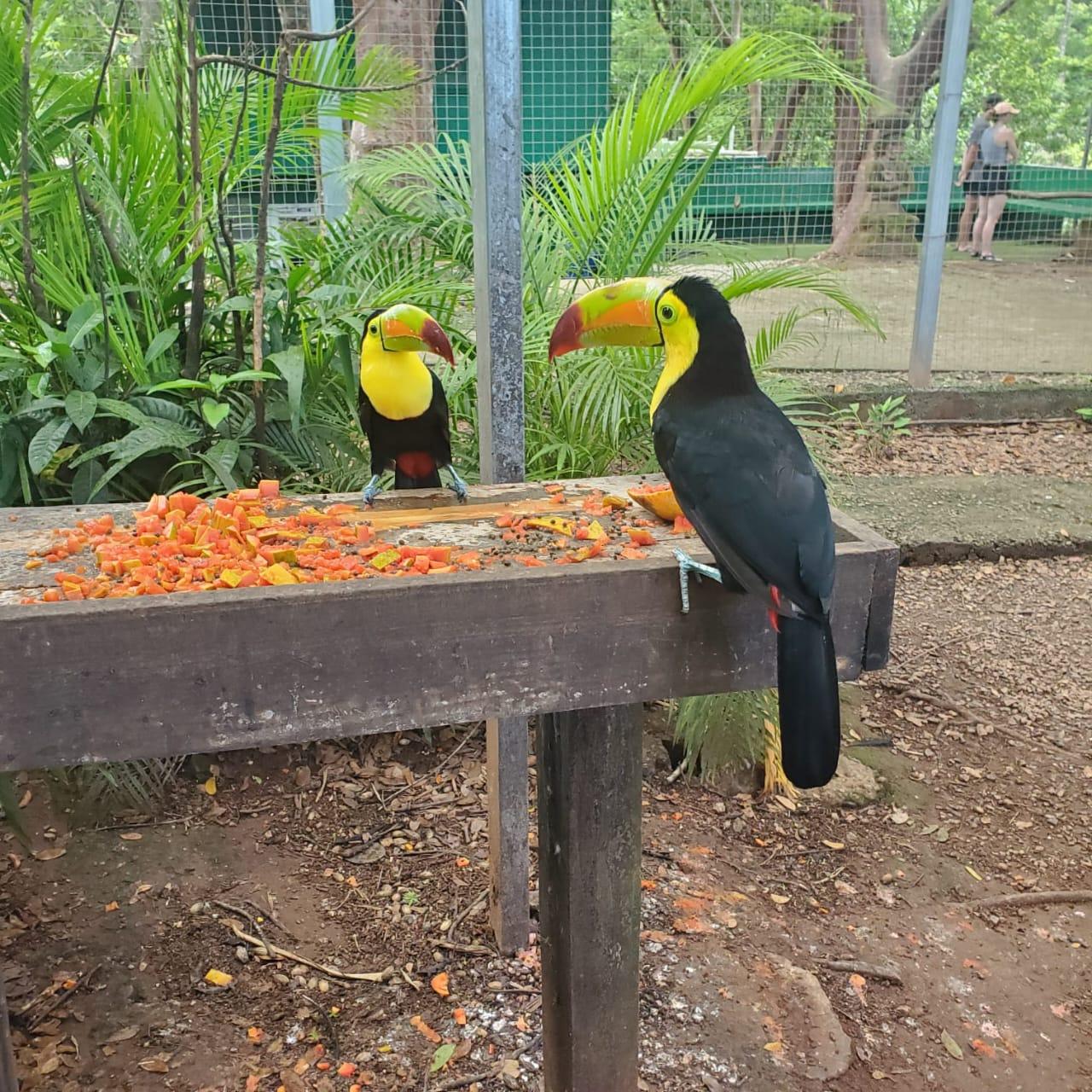 Roatan: The perfect family day – Honduras