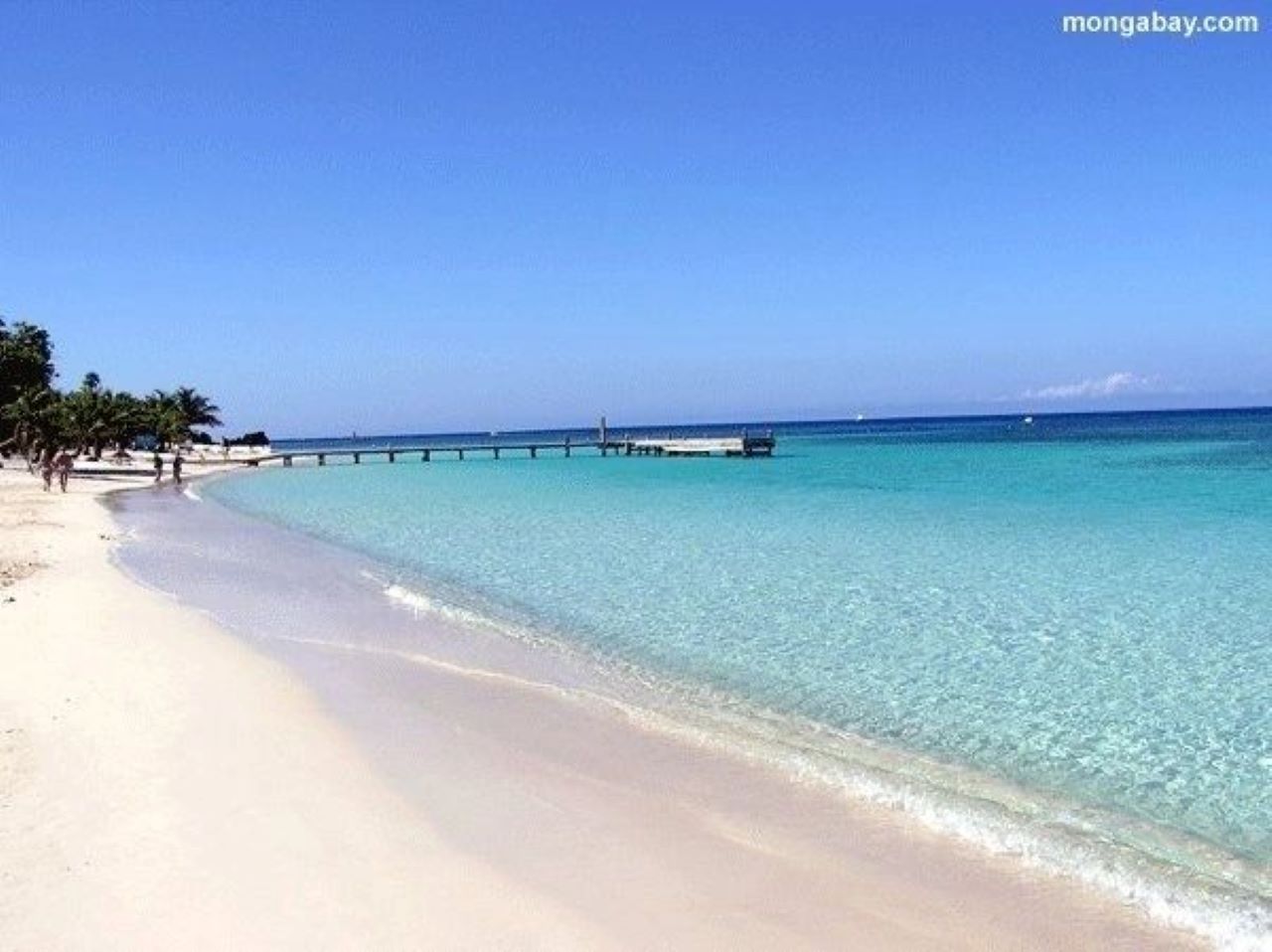 Roatan: West End Beach or West Bay Beach Half-Day Trip – Honduras