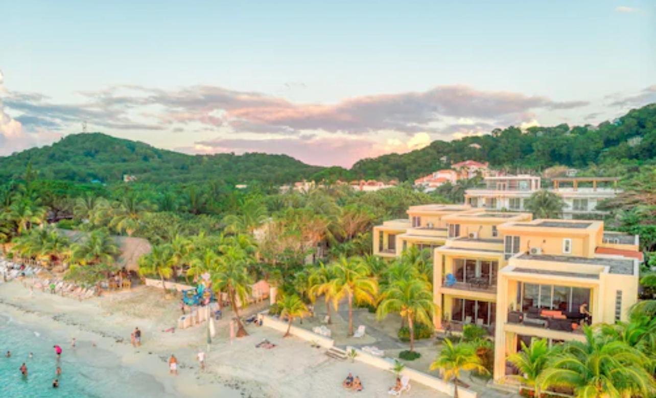 Roatan Zip + Sloth + Beach – Honduras