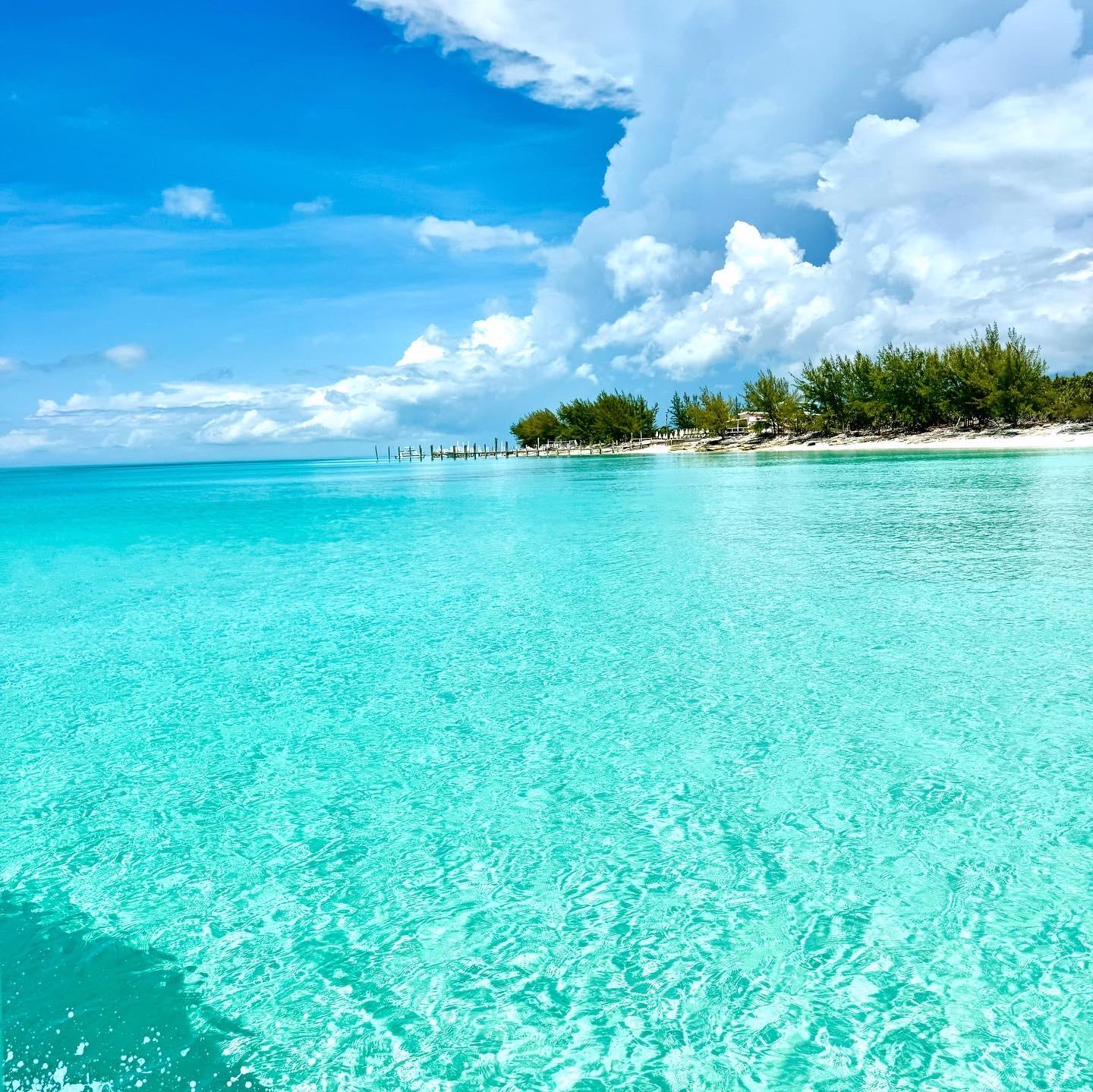 Rose Island: Pig Beach, Snorkeling, Sea Turtles, Beach – Nassau, Bahamas