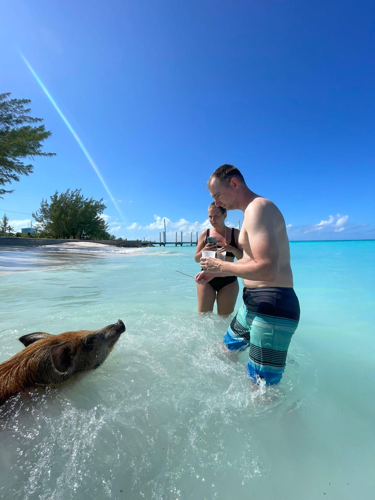 Rose Island: Snorkeling, Swimming Pigs & Unlimited Rum Punch – Green Cay, Bahamas
