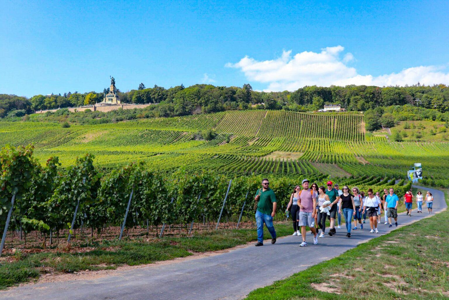 Rüdesheim – Guided wine hikes with 4wines and cable car ride – Rüdesheim am Rhein, Germany