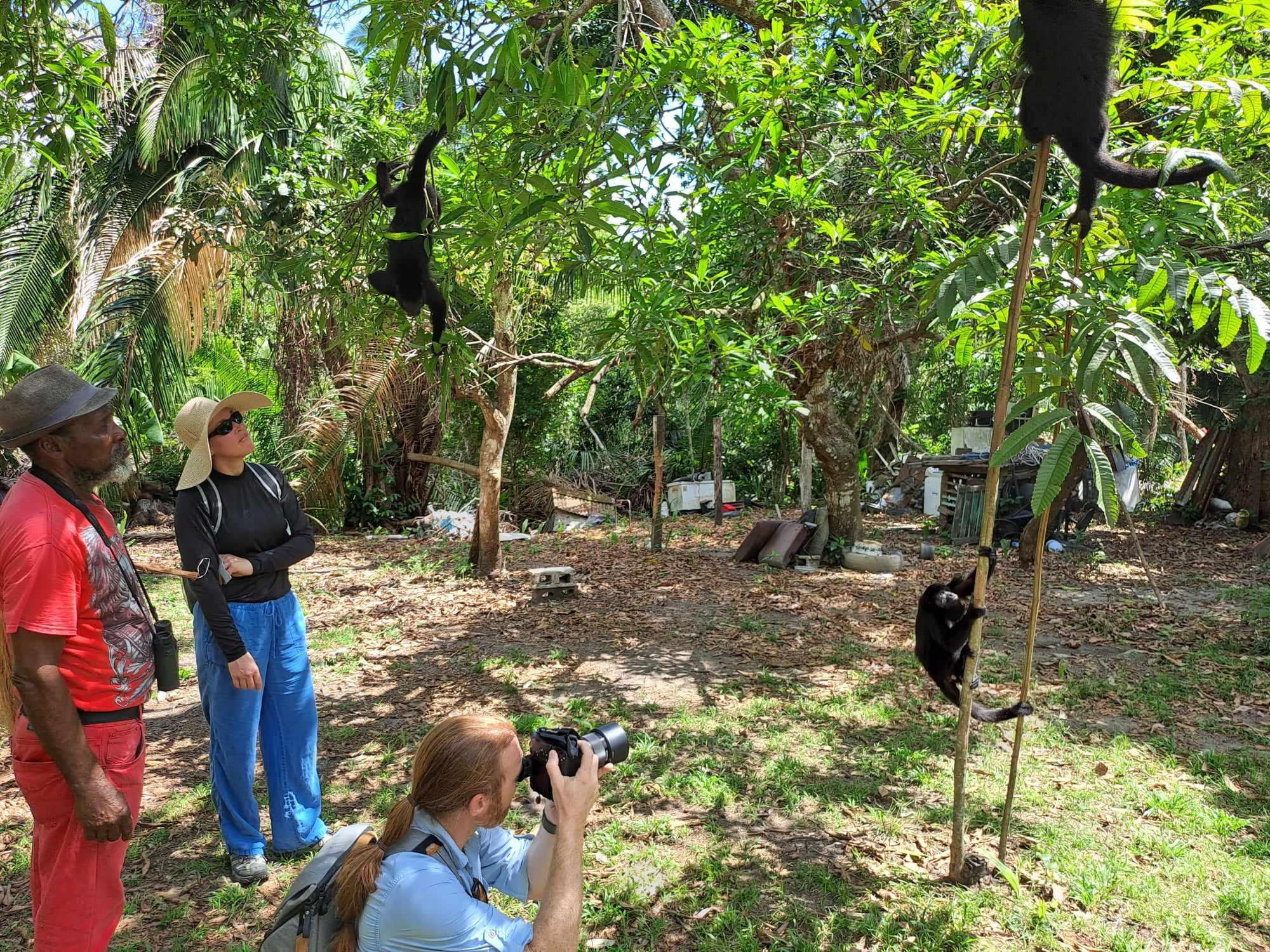 Rumble in the Jungle: Belize Howler Monkey Expedition – Belize City, Belize