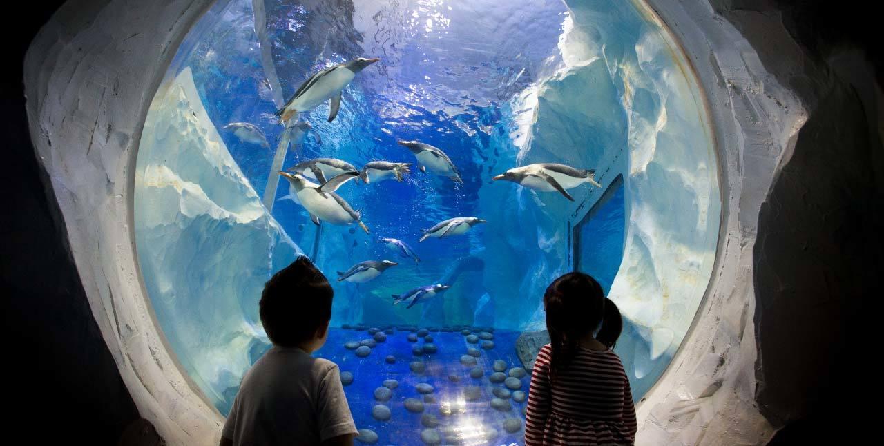 SEA LIFE Paris: Admission Ticket – Paris, France