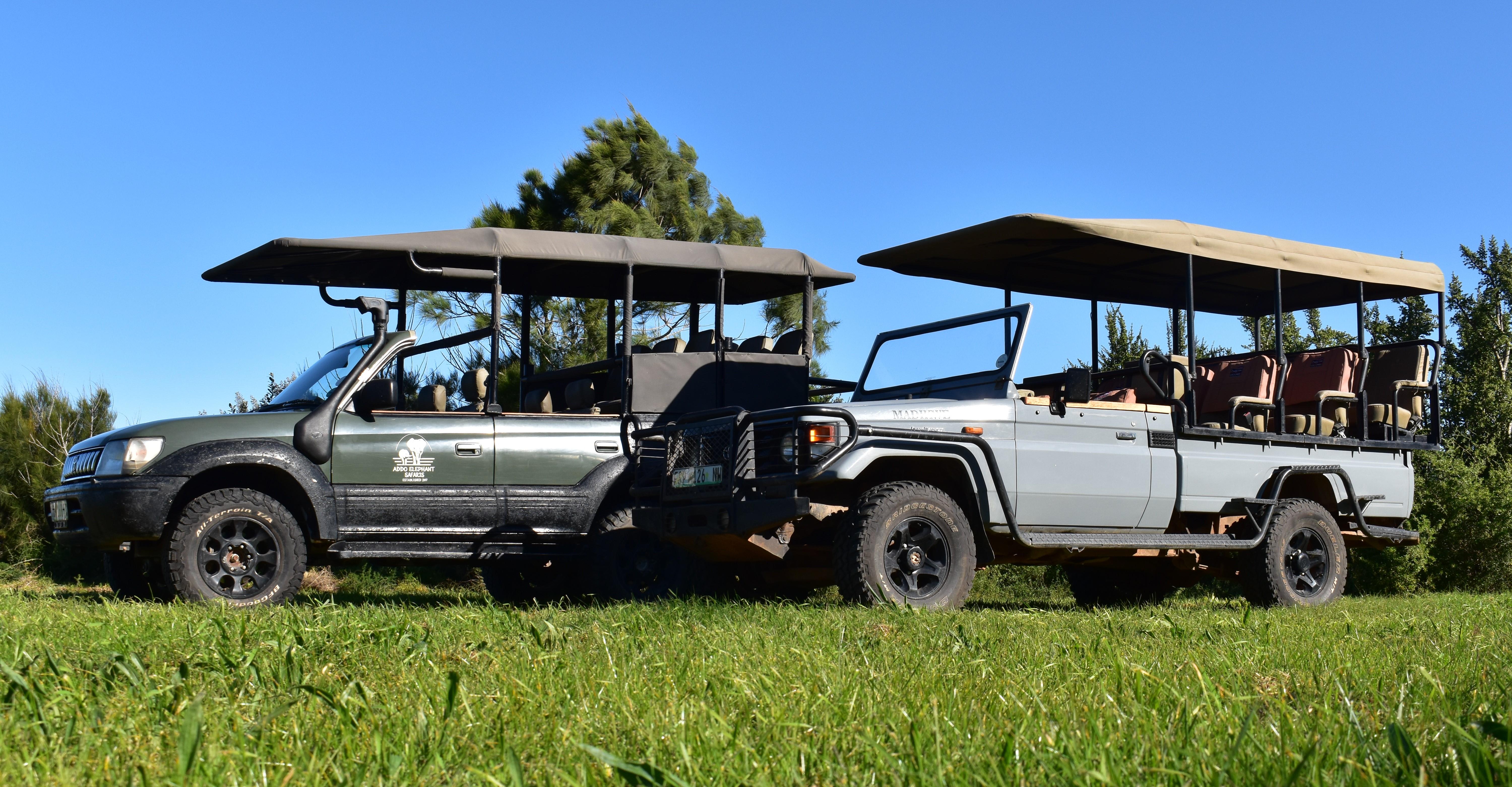 Safari into Schotia Half Day Tour – Schotia Safaris Private Game Reserve, South Africa