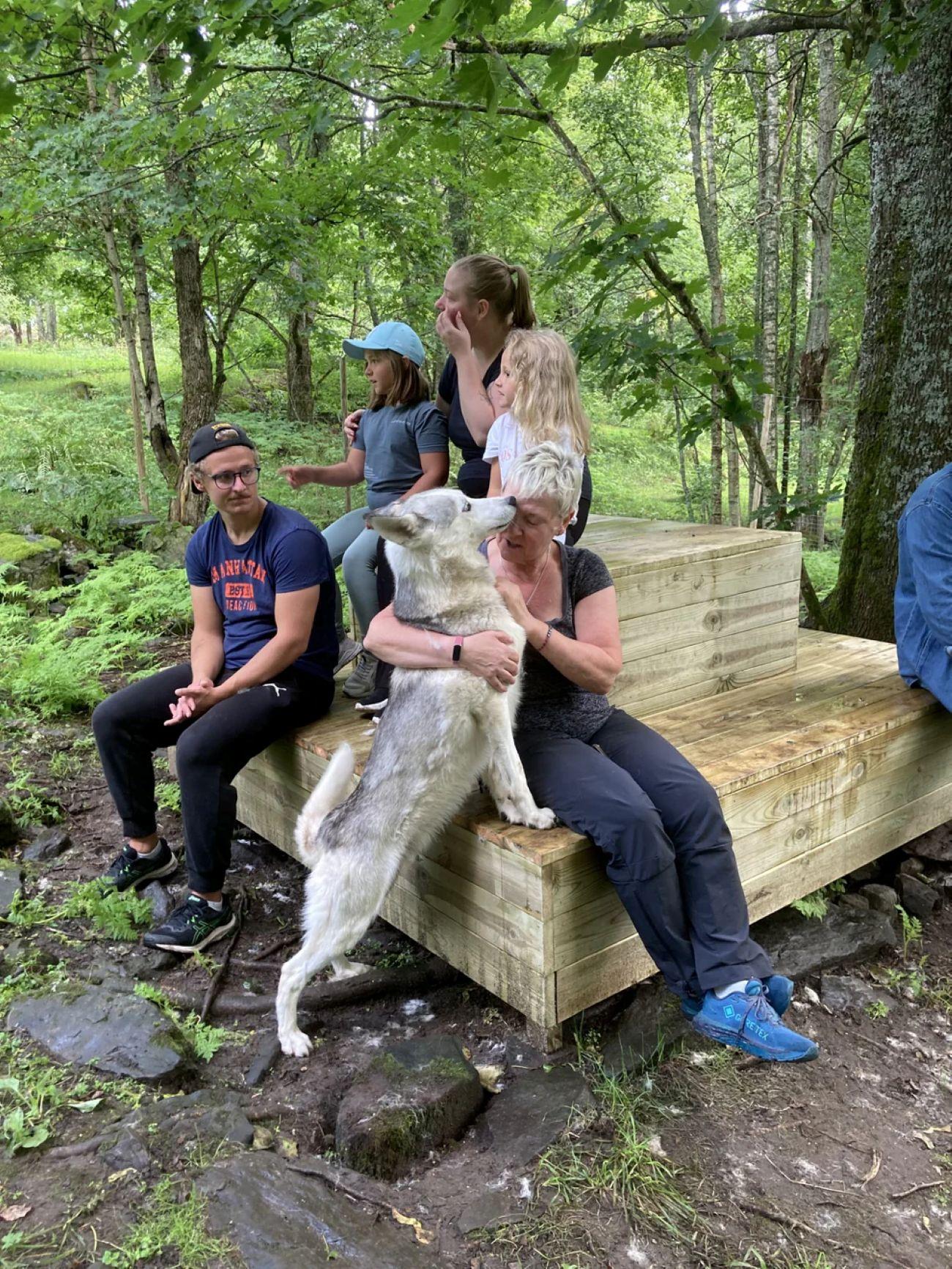 Sågmyra : Siberian Husky Encounter in Sweden – Sagmyra, Sweden