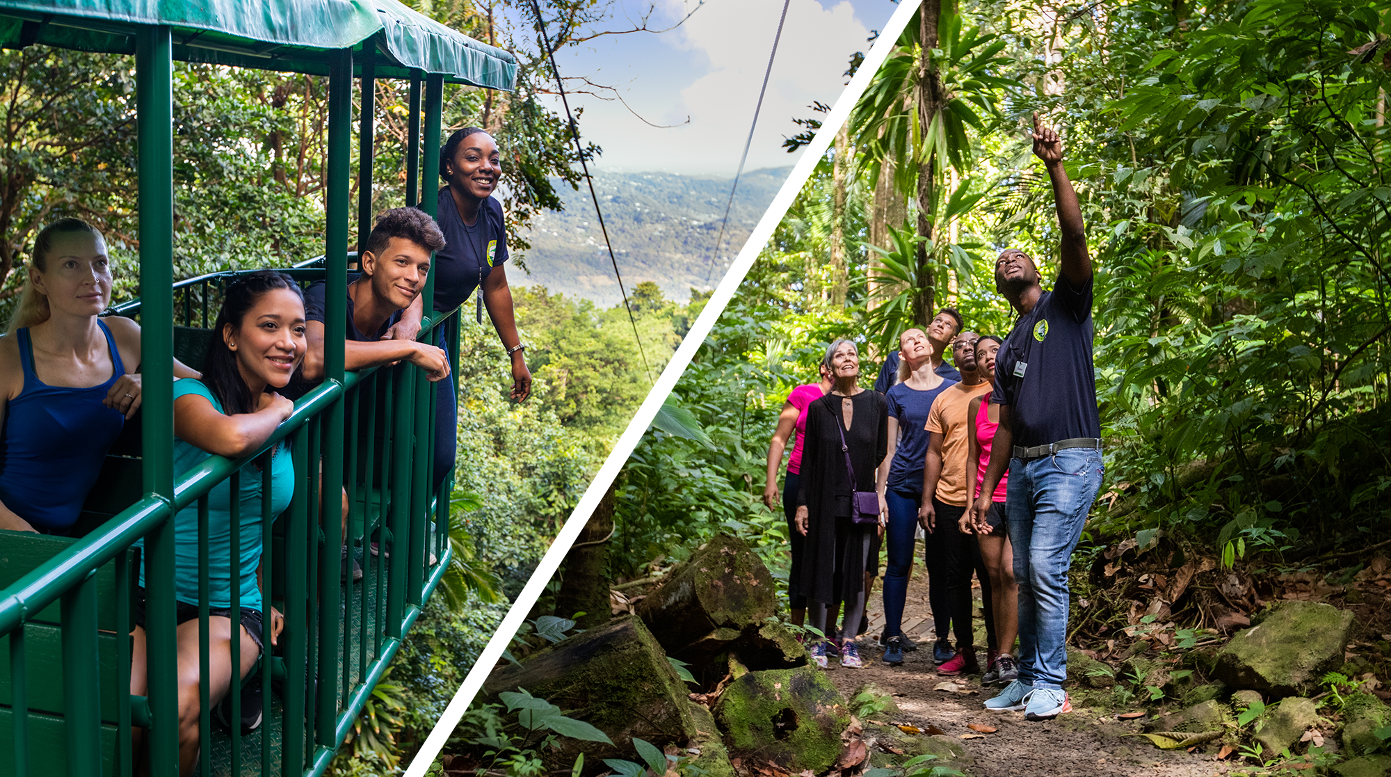 Saint Lucia: Aerial Tram Tour at Rainforest Adventures – Saint Lucia