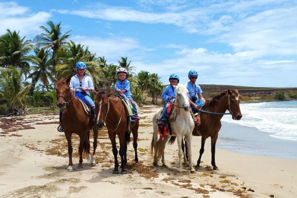 Saint Lucia Horseback Riding: Explore the Island in Style – Saint Lucia
