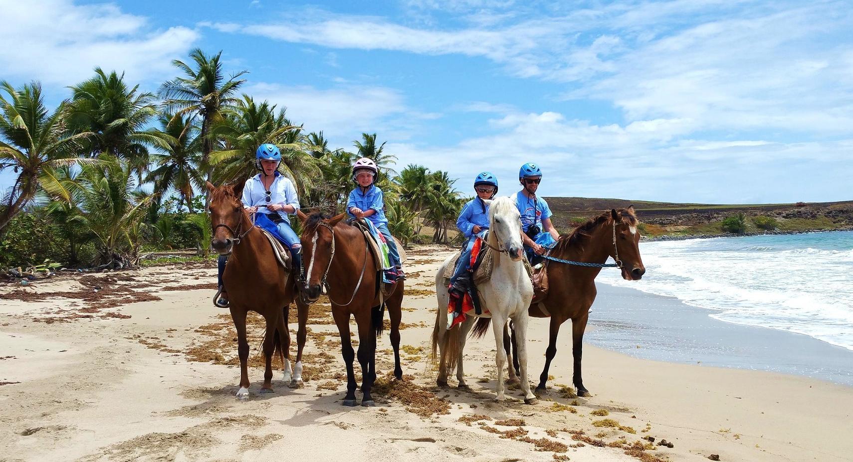 Saint Lucia Horseback Riding: Explore the Island in Style – Saint Lucia