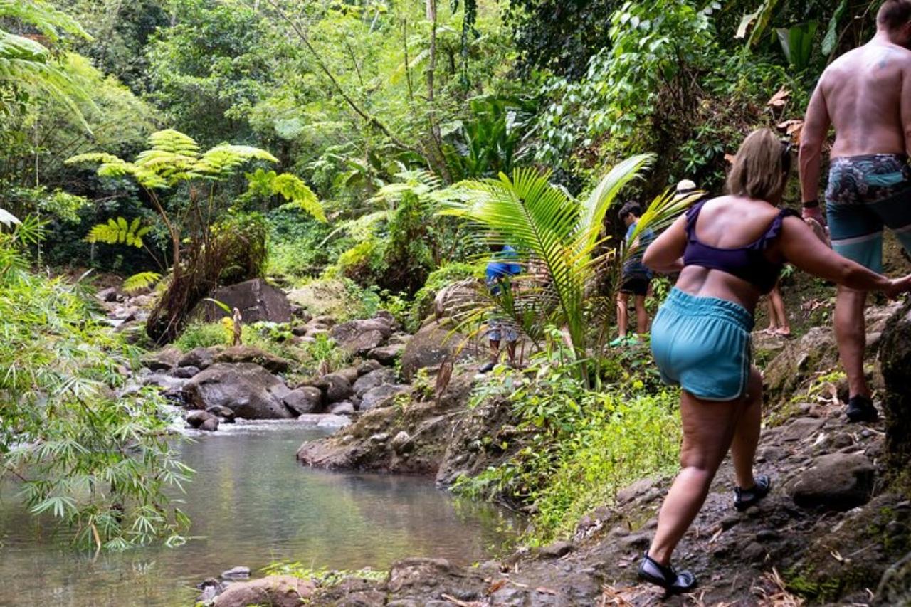 Saint Lucia: Rainforest Hike and Waterfall Safari – Saint Lucia