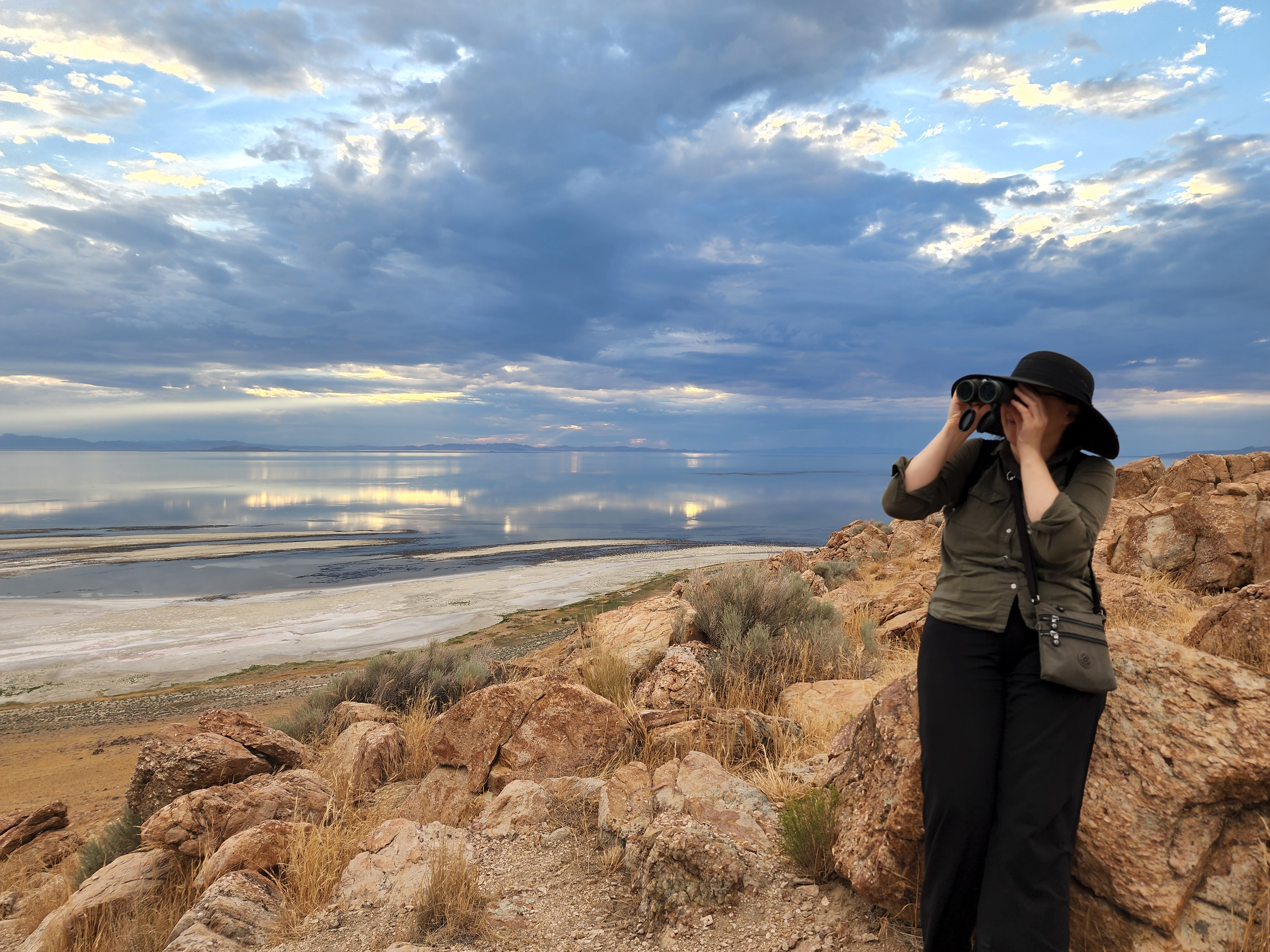 Salt Lake City: Great Salt Lake Wildlife & Sunset Experience – Great Salt Lake, Utah