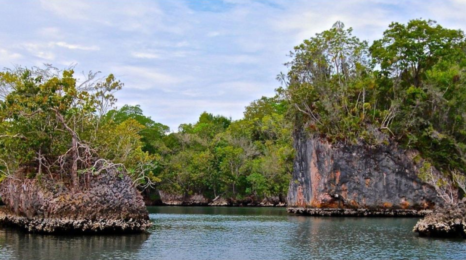 Samana: Los Haitises National Park & Caño Hondo Day Tour – Puerto Plata, Dominican Republic
