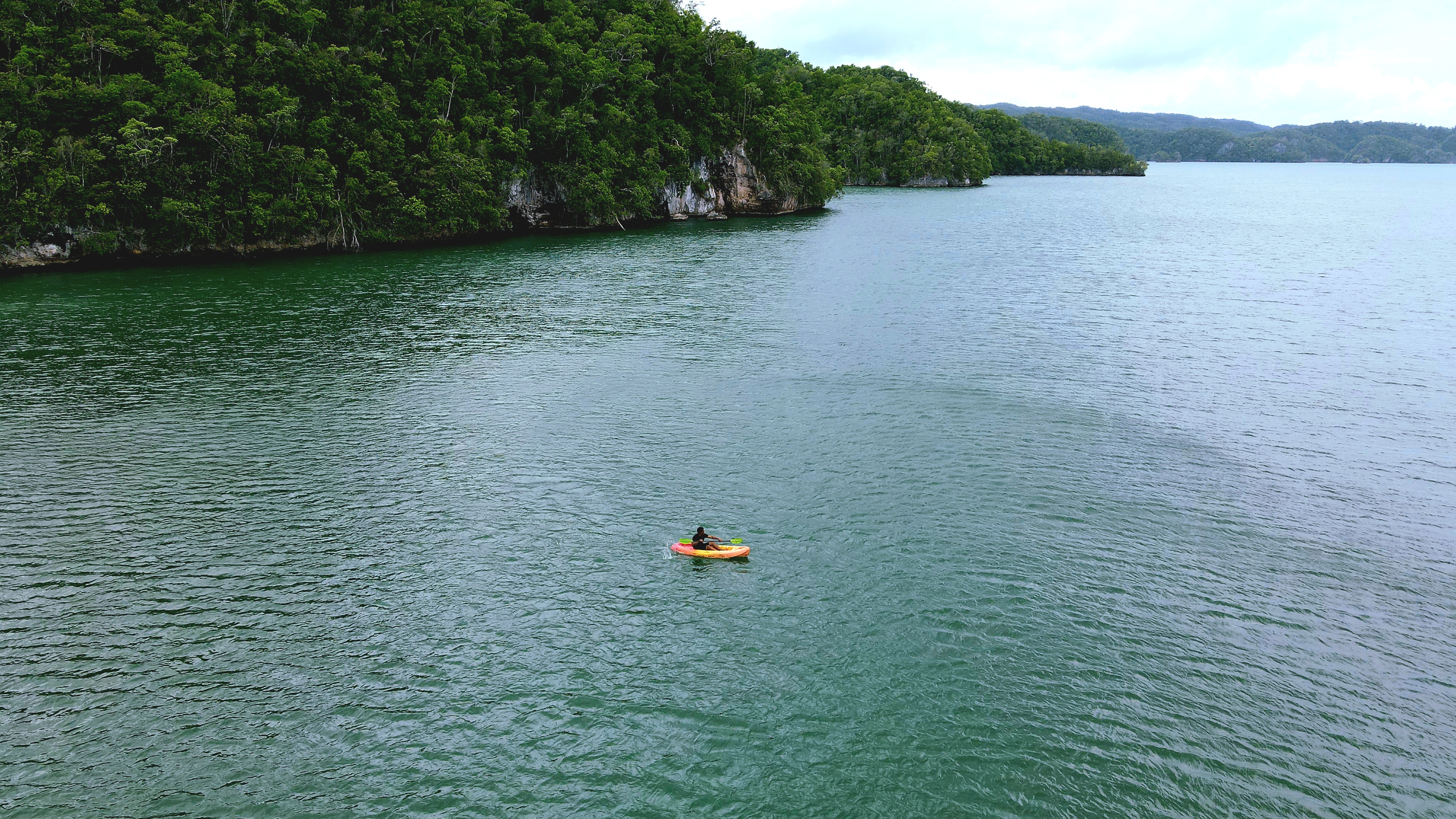 Samana: Private Los Haitises Expedition Caves & Mangroves – Sabana de la Mar, Dominican Republic