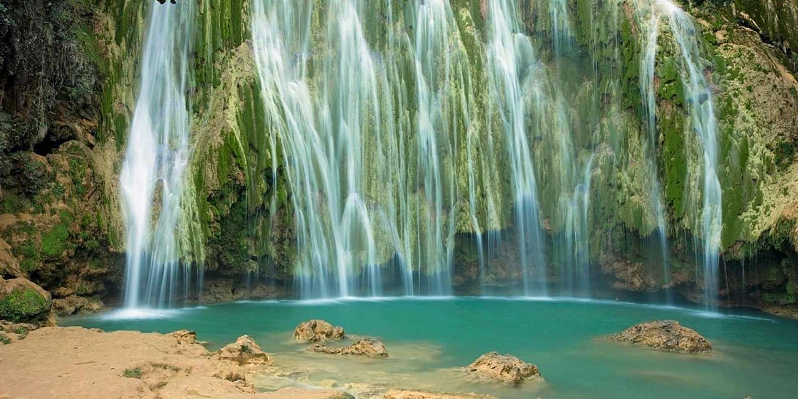 Samana Whale watching and Bacardi Island from Punta Cana – Punta Cana, Dominican Republic