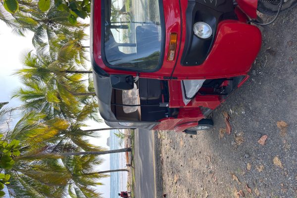 Samara: Coastal Tuk Tuk Experience – Playa Carrillo, Costa Rica