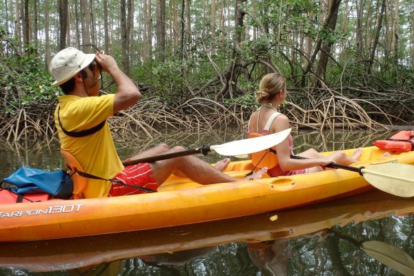 Samara: Mangrove Kayaking Adventure – Samara, Costa Rica