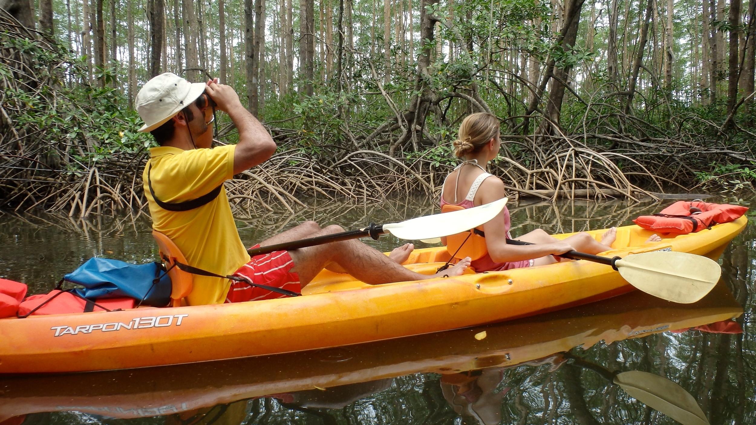 Samara: Mangrove Kayaking Adventure – Samara, Costa Rica