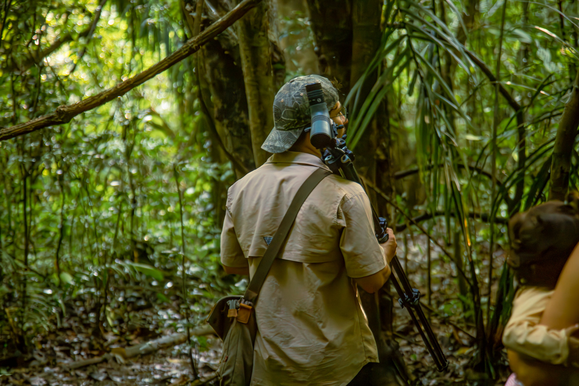 Samara: Tropical Dry Forest Trail and Butterfly Sanctuary – Playa Carrillo, Costa Rica
