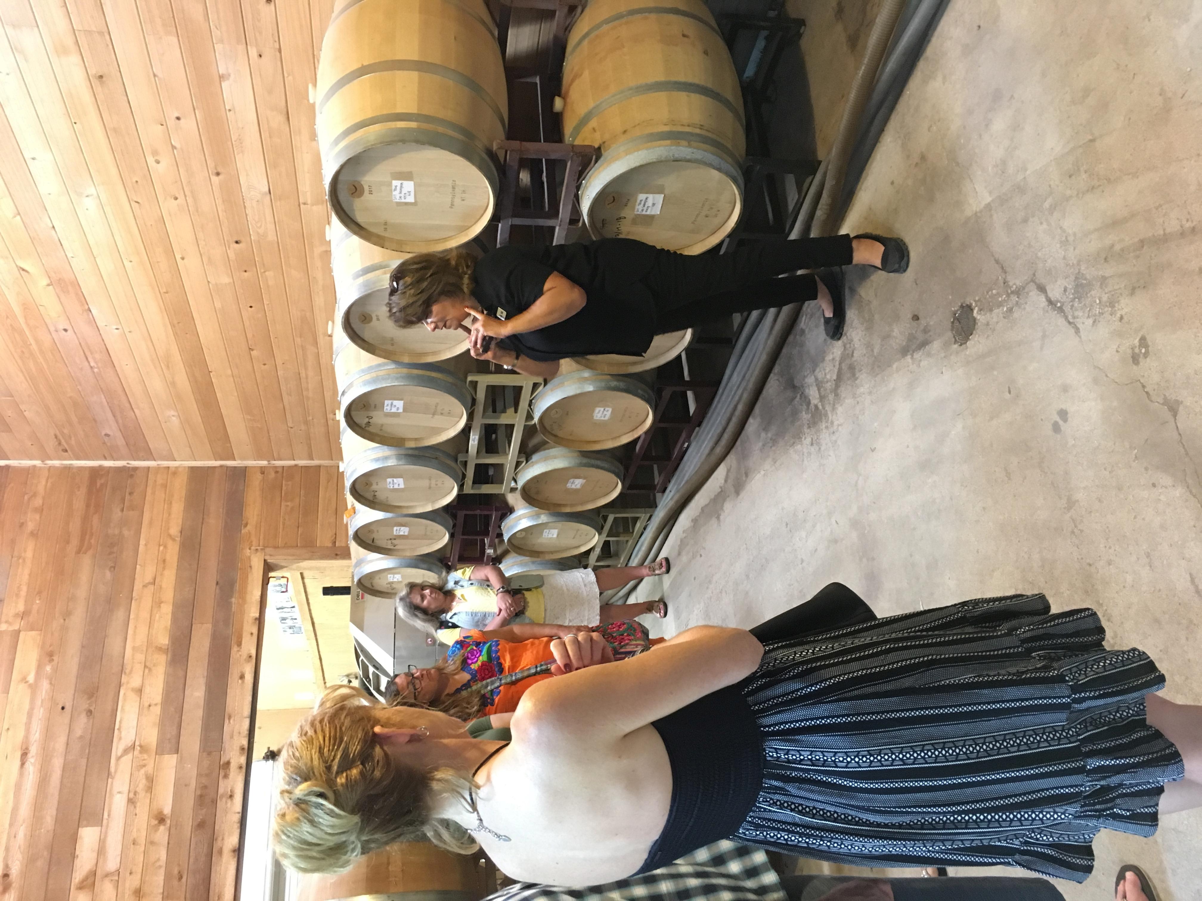 San Antonio: Fredericksburg Wineries Day Trip with Tastings – San Antonio, Texas
