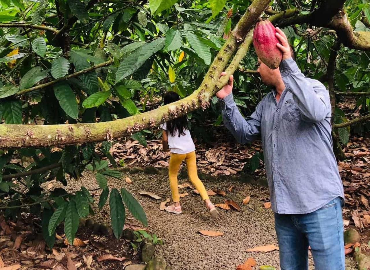 San Carlos: The Art of Chocolate Making Tour at Don Olivo – La Fortuna, Costa Rica