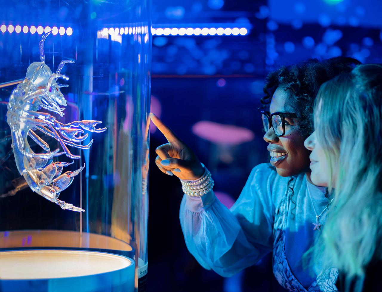 San Francisco: California Academy of Sciences Entry Ticket – San Francisco, California