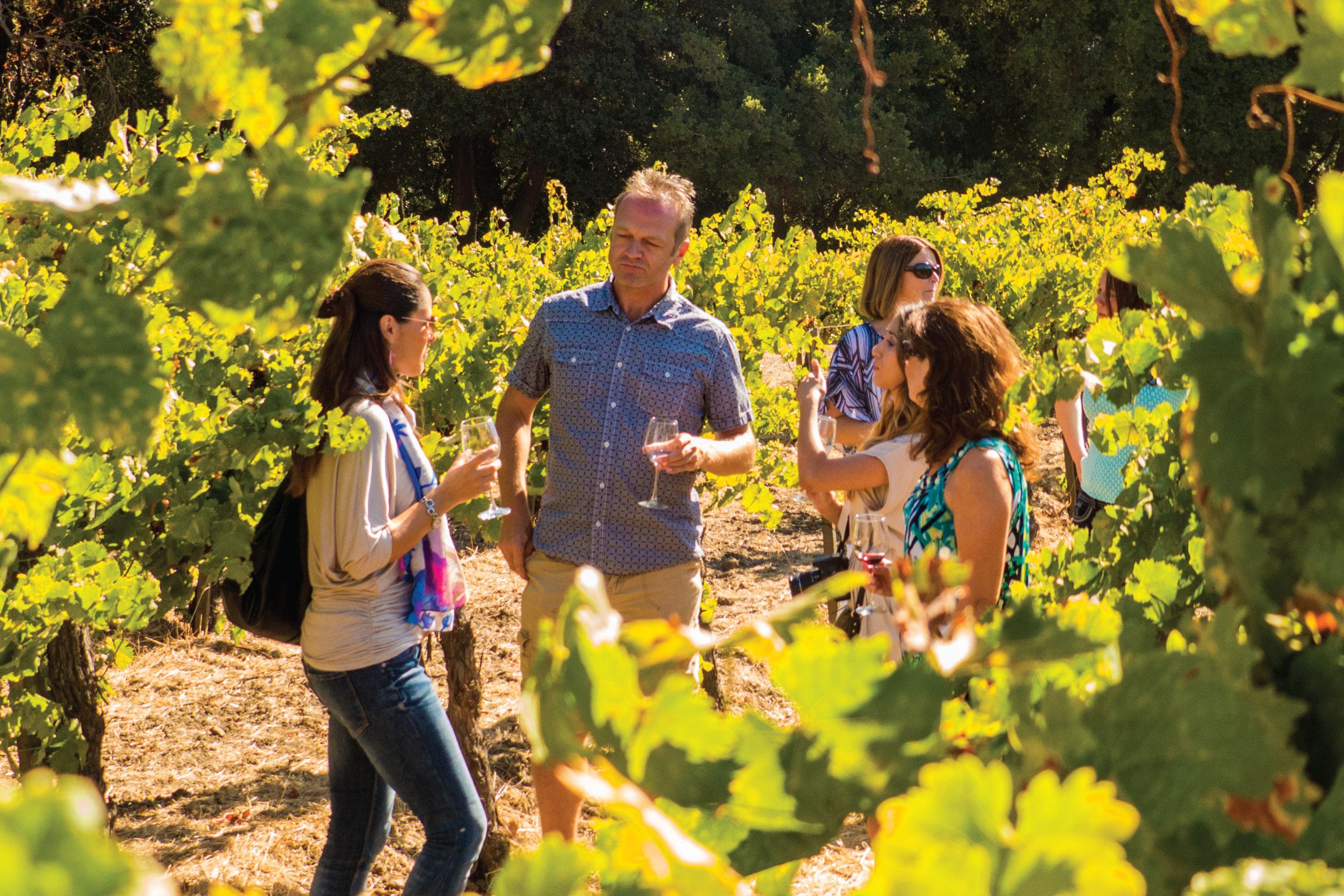 San Francisco: Half-Day Wine Country Tour with Wine Tastings – San Francisco, California