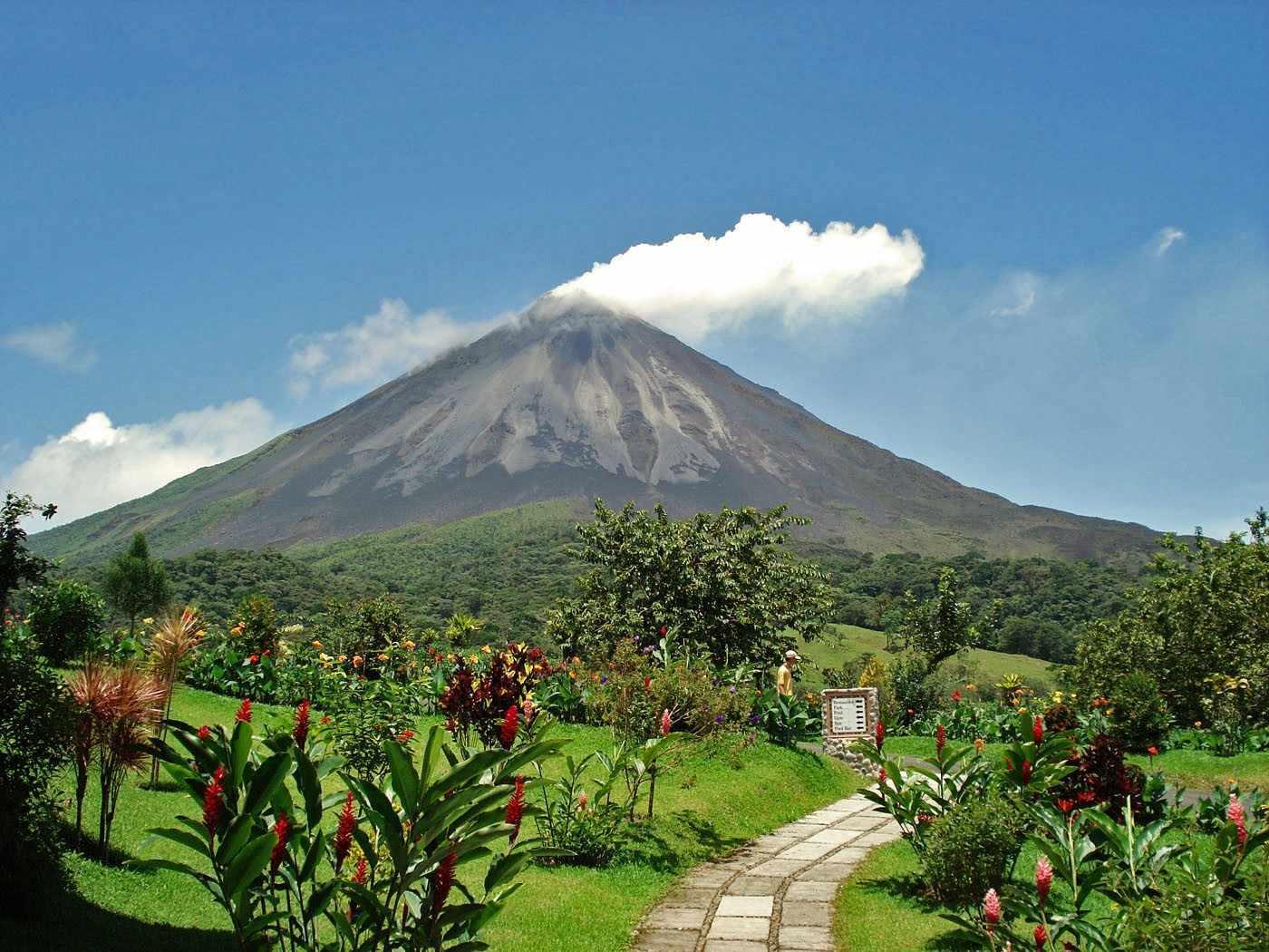 San Jose: Arenal Hanging Bridges & Baldi Hot Springs Tour – Mistico Arenal Hanging Bridges Park, Costa Rica
