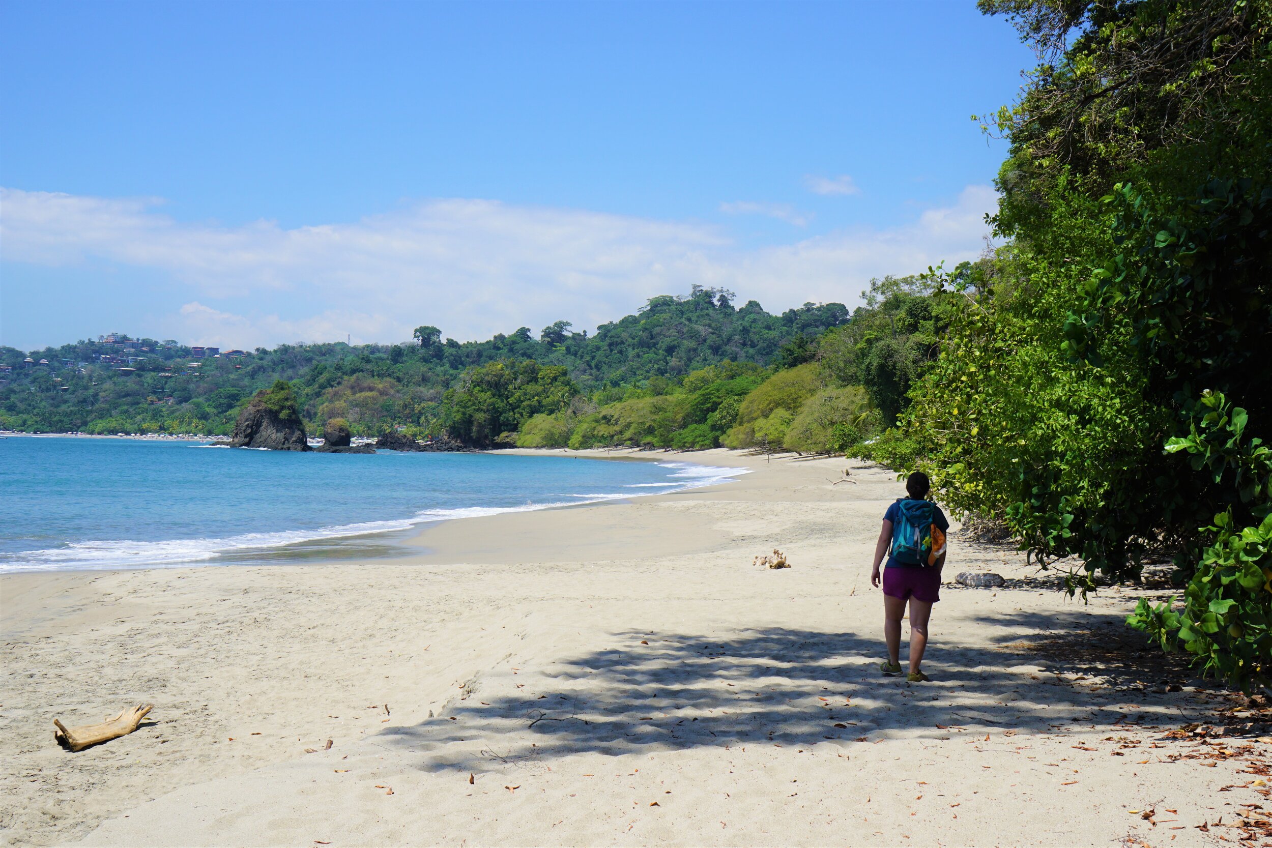 San Jose Costa Rica: Manuel Antonio National Park Tour – Manuel Antonio National Park, Costa Rica