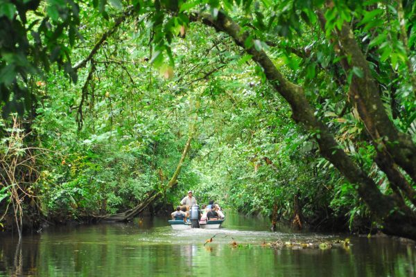 San Jose: Tortuguero Park Day Tour with Breakfast & Lunch – Tortuguero National Park, Costa Rica