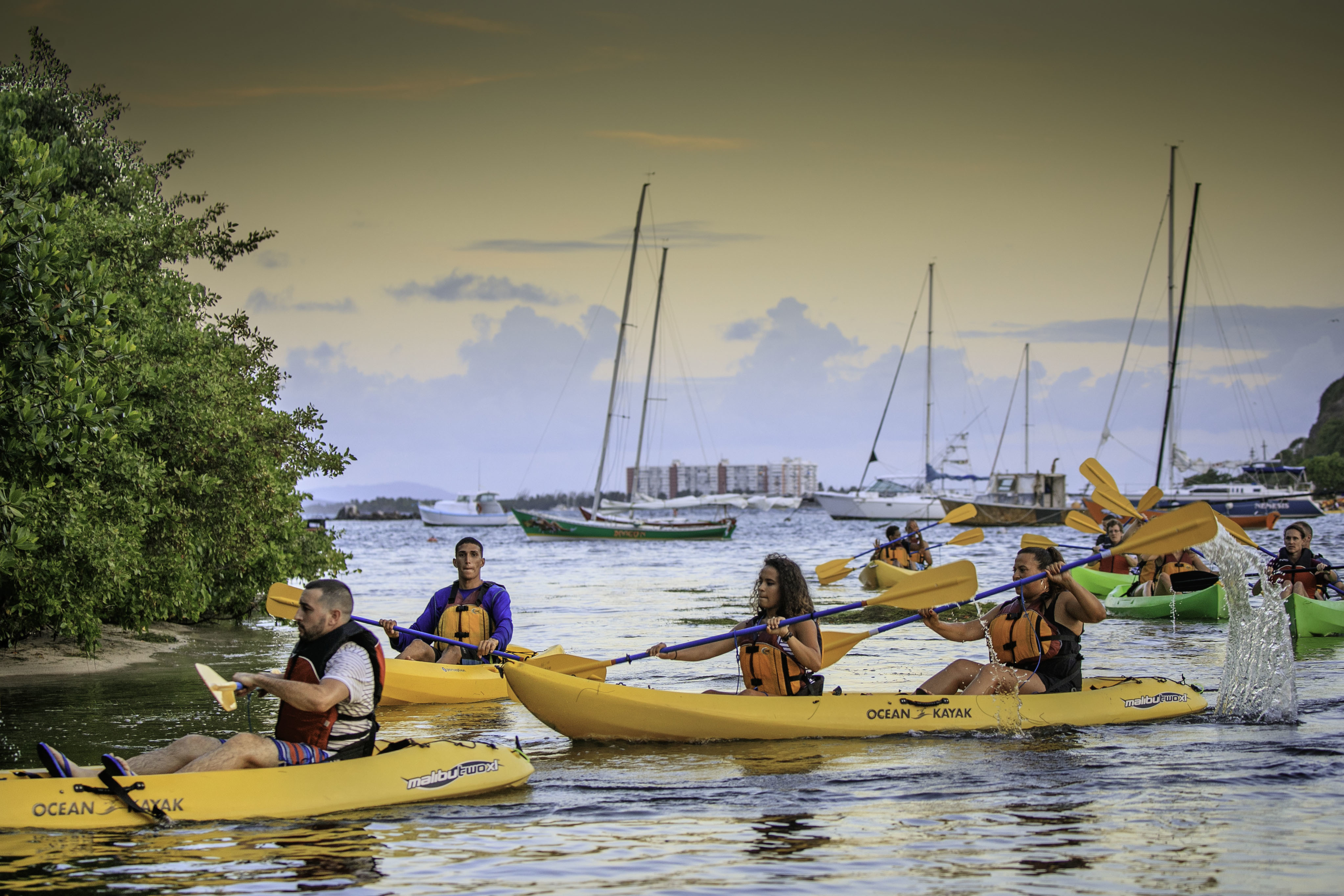 San Juan: Bioluminescent Laguna Grande Bay Night Kayaking – San Juan, Puerto Rico, Puerto Rico