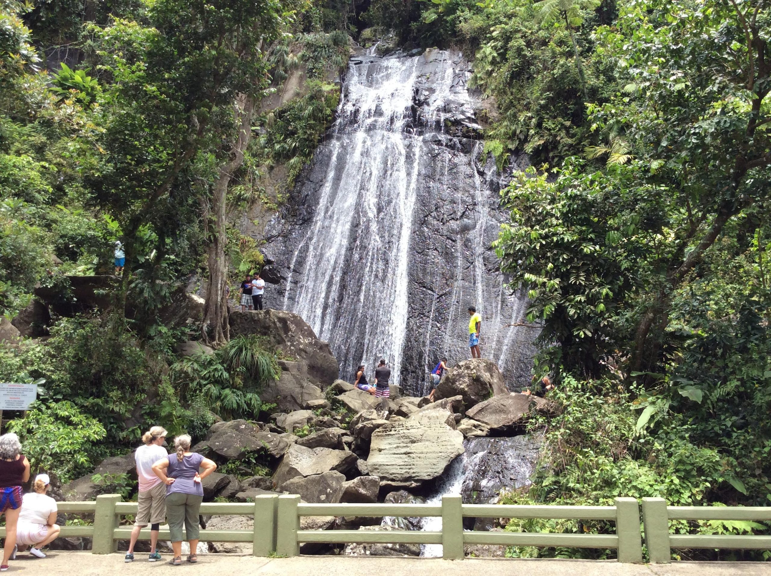 San Juan: El Yunque Rainforest Guided Tour – San Juan, Puerto Rico