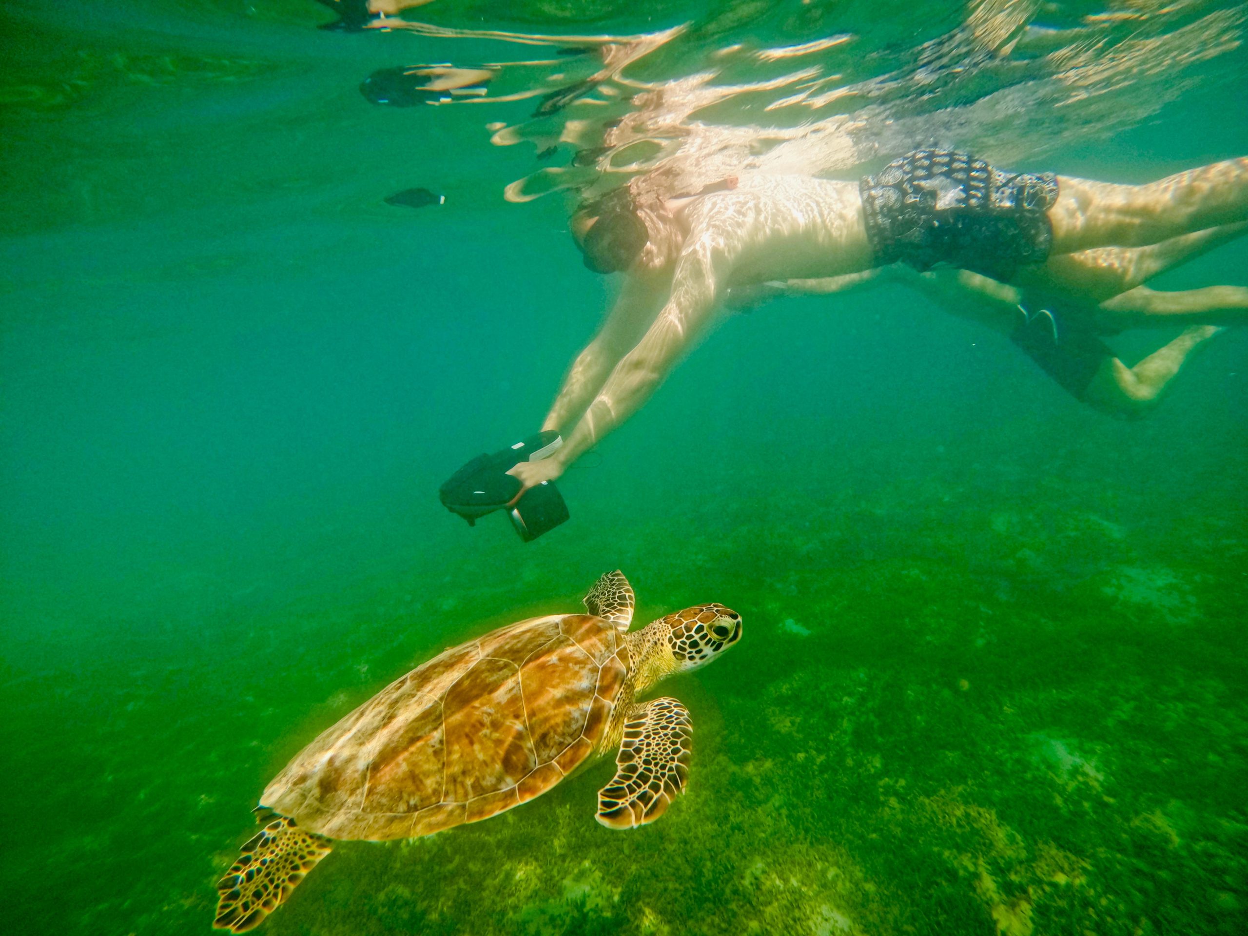 San Juan: Jet Snorkeling Adventure with Sea Turtle Spotting – San Juan, Puerto Rico