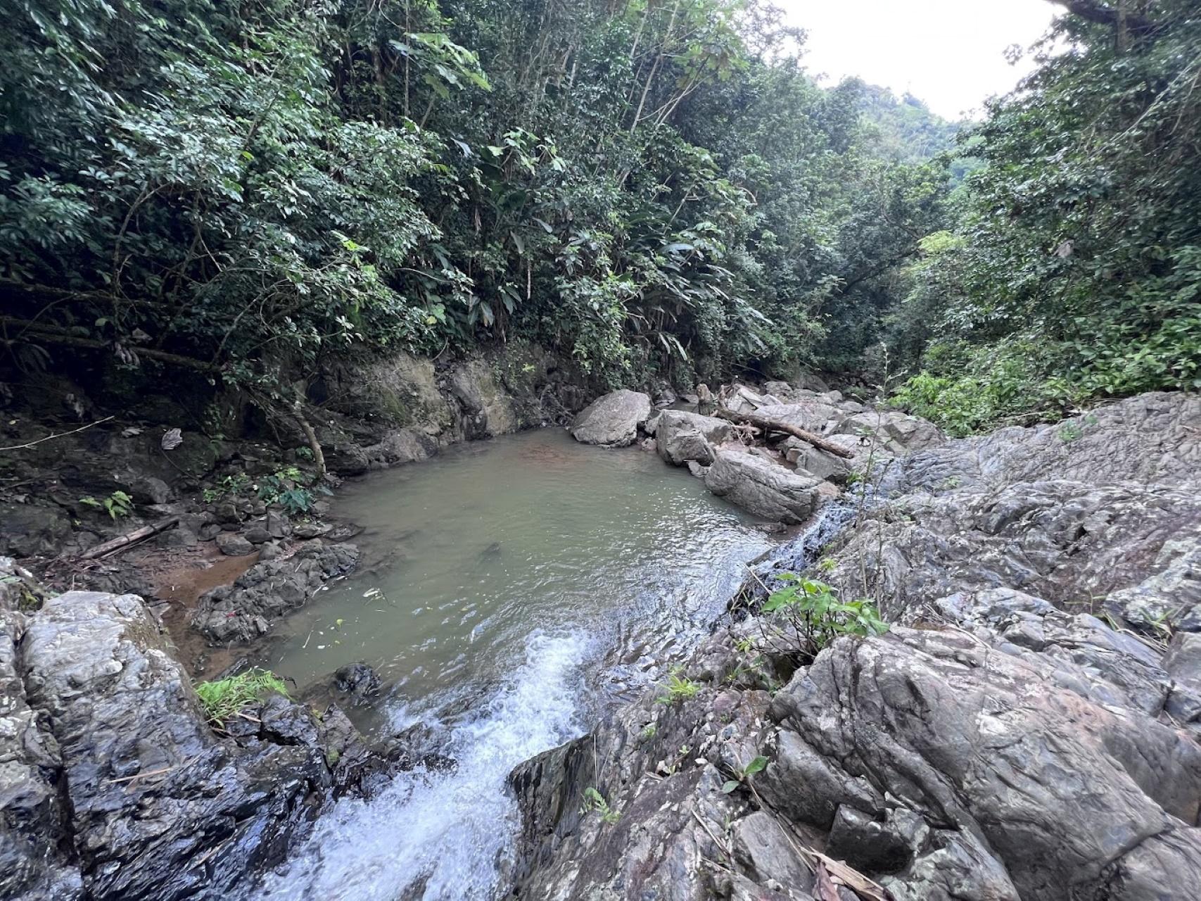 San Juan, PR: Hike to a Hidden Waterfall Adventure – San Juan, Puerto Rico