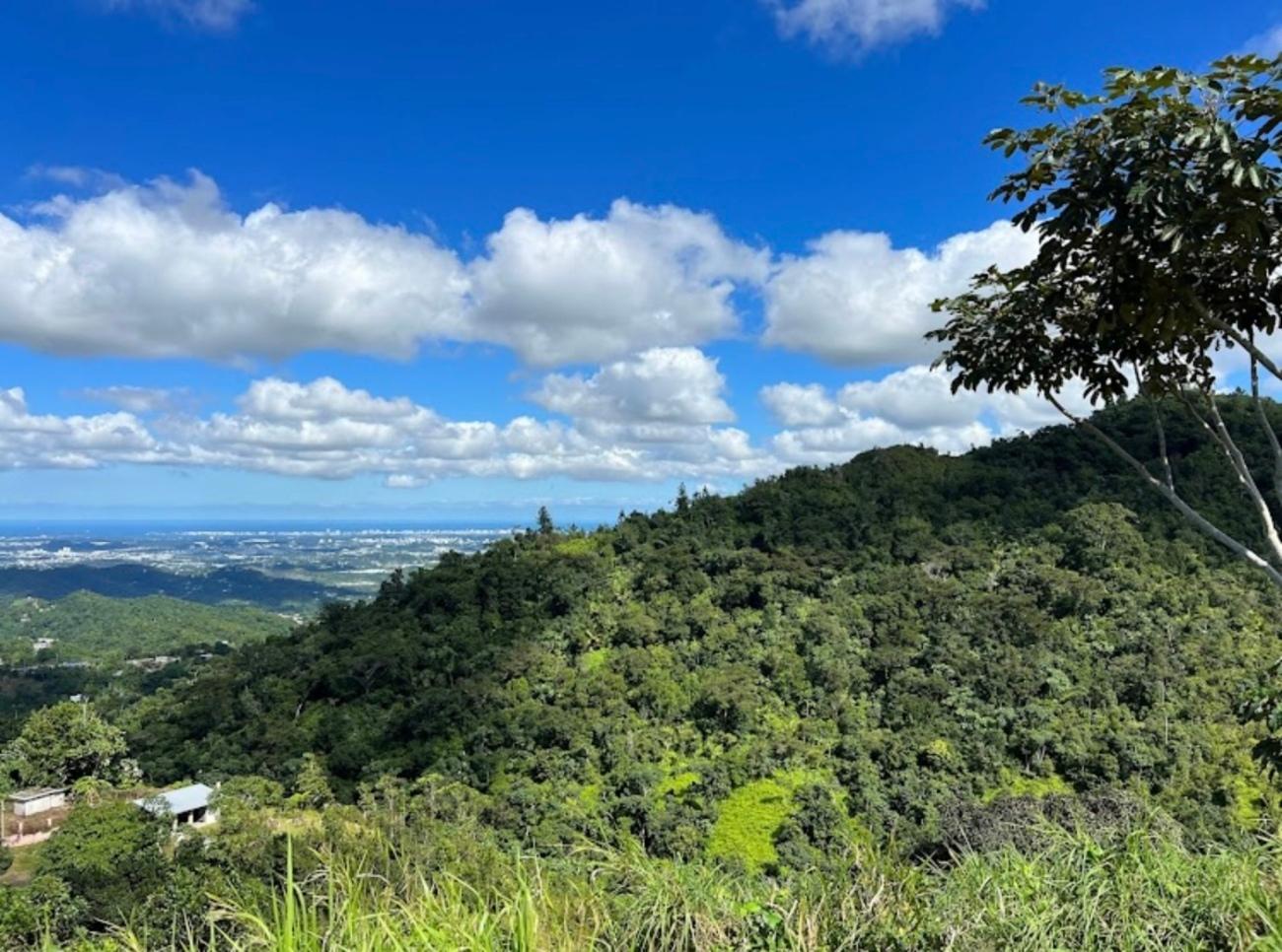 San Juan: The Ultimate Cultural Tour with Transportation – San Juan, Puerto Rico