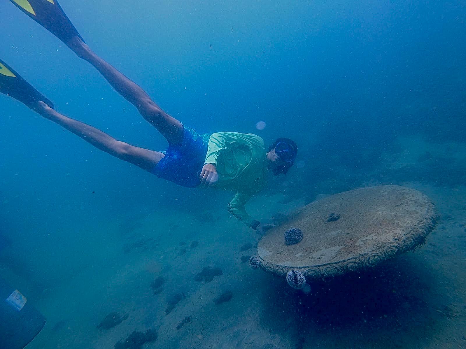 San Juan: small group guided snorkeling excursion – San Juan, Puerto Rico