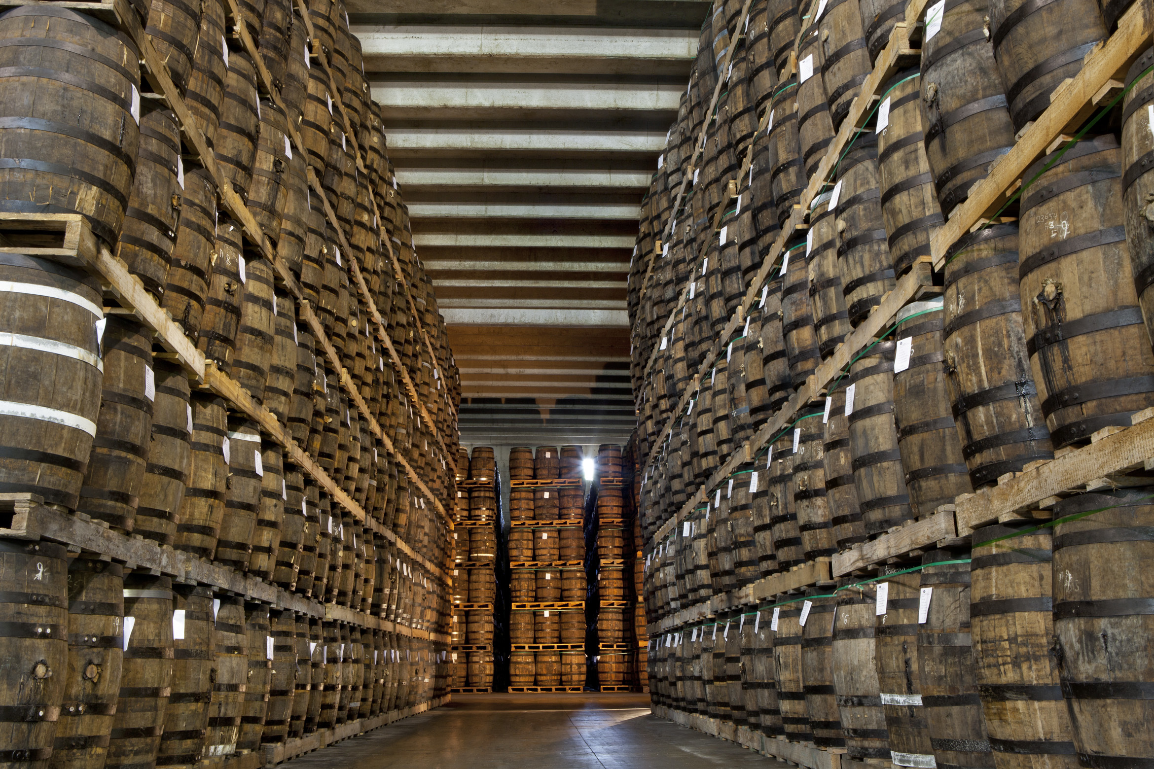 San Pedro De Macoris: Ron Barcerló Rum Factory Tour – Punta Cana, Dominican Republic