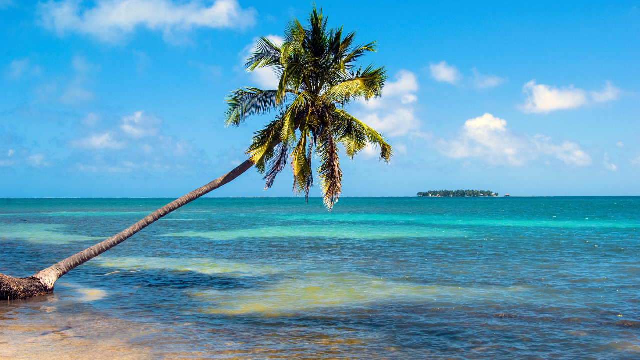 San Pedro Sula: Belize Cays Private Full-Day Caribbean Tour – Belize Barrier Reef, Belize