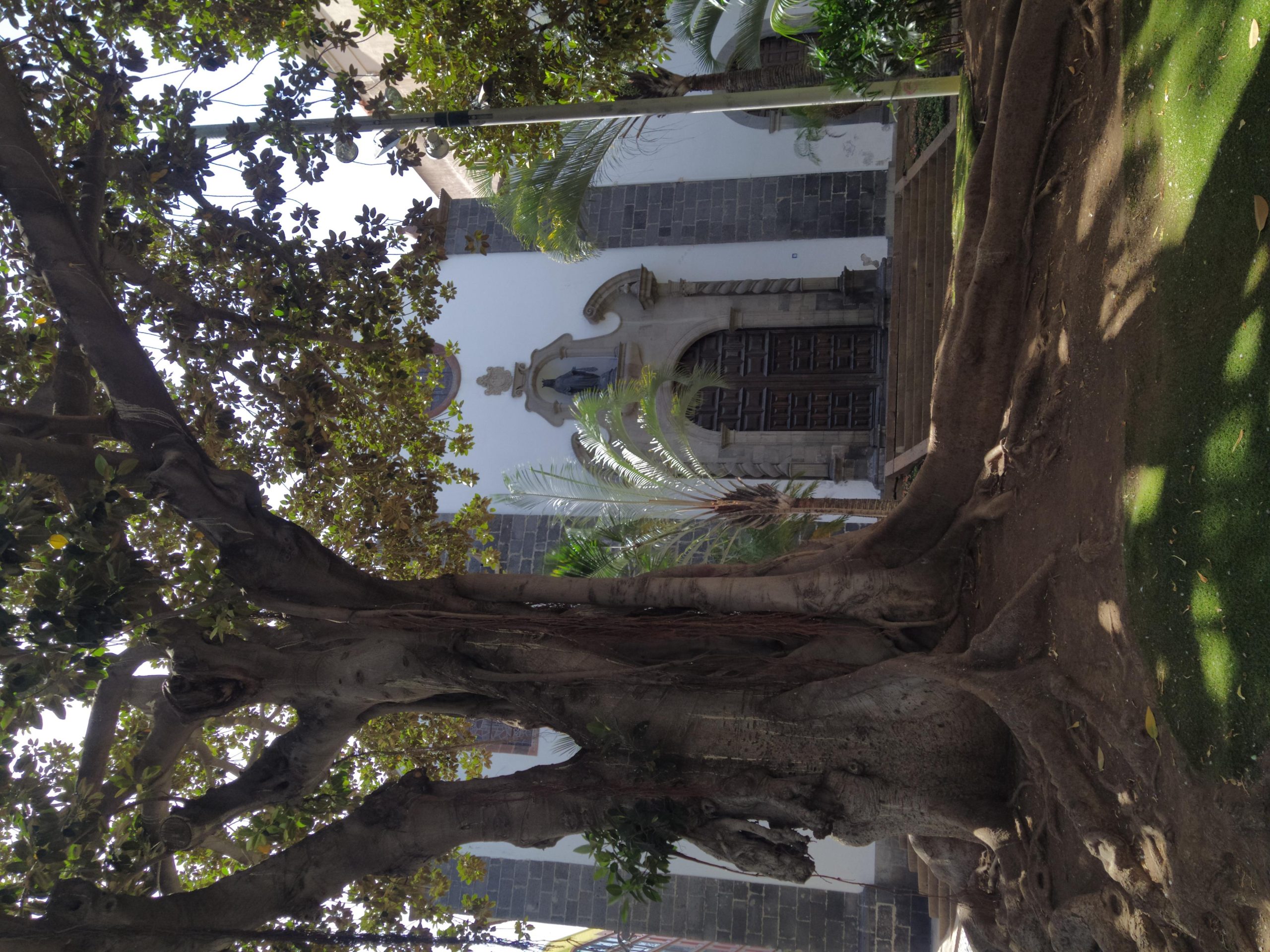 Santa Cruz de Tenerife: Prestigious Places Walk – Santa Cruz de Tenerife, Spain